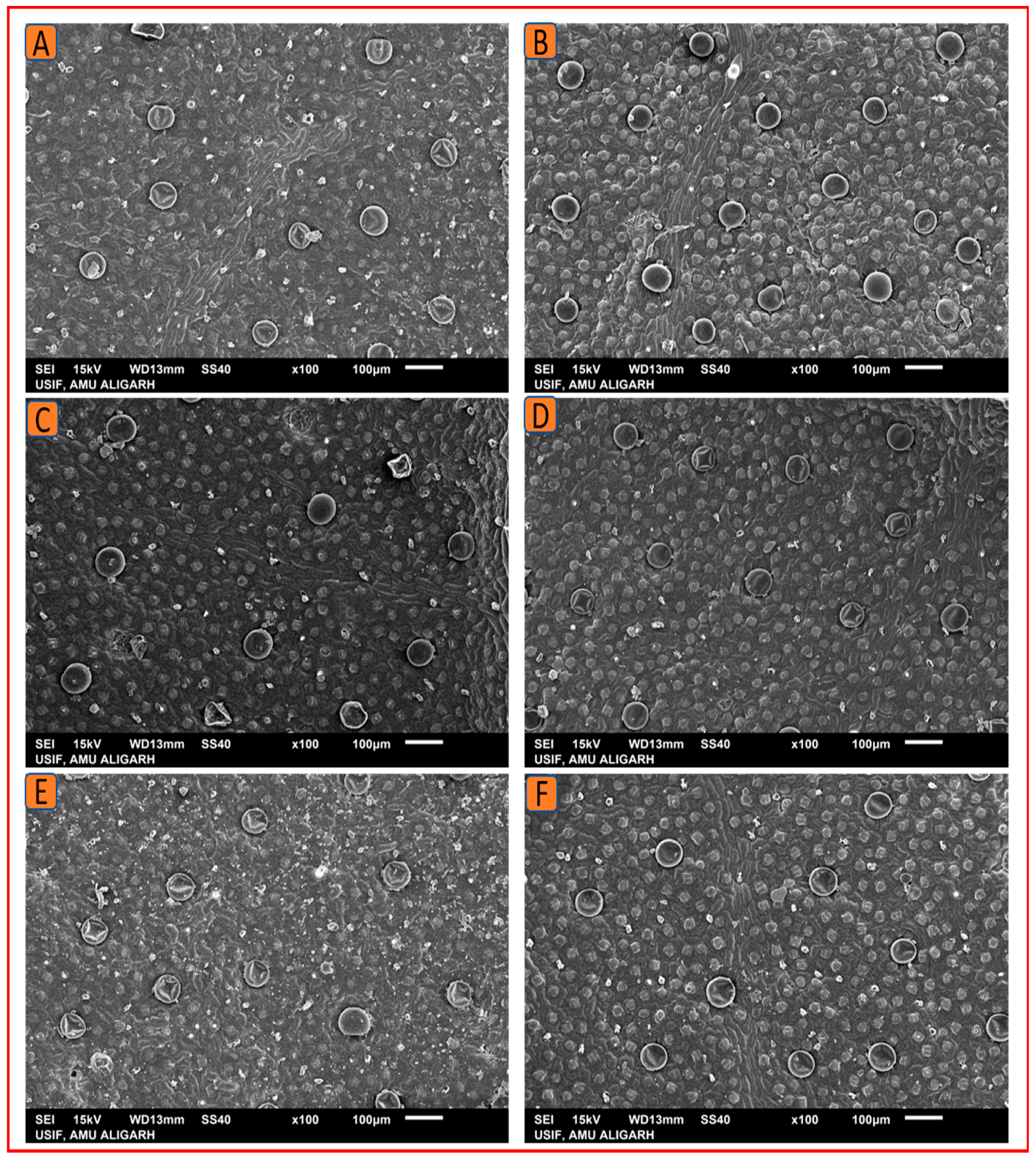 Plants 12 00809 g012