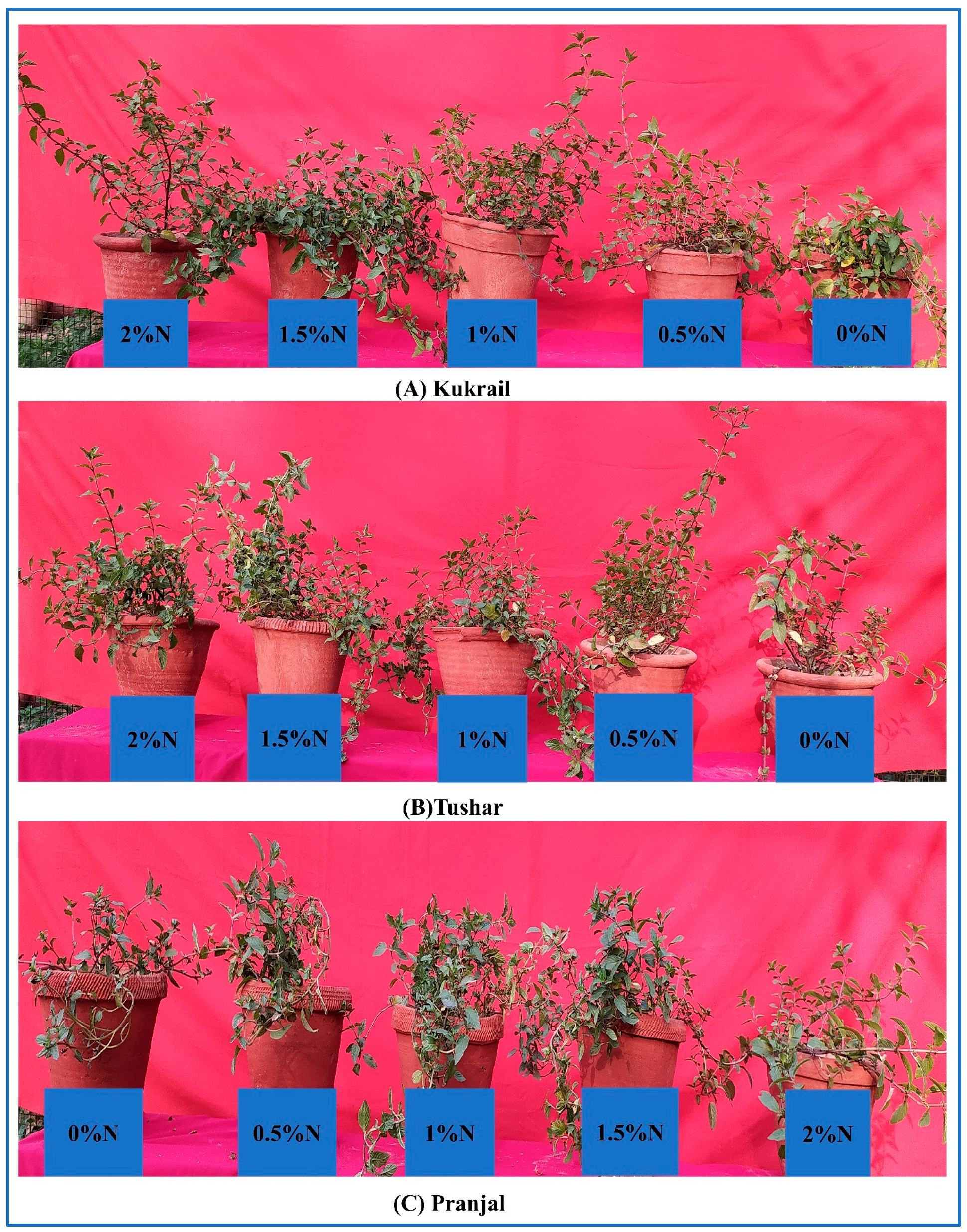 Plants 12 00809 g017