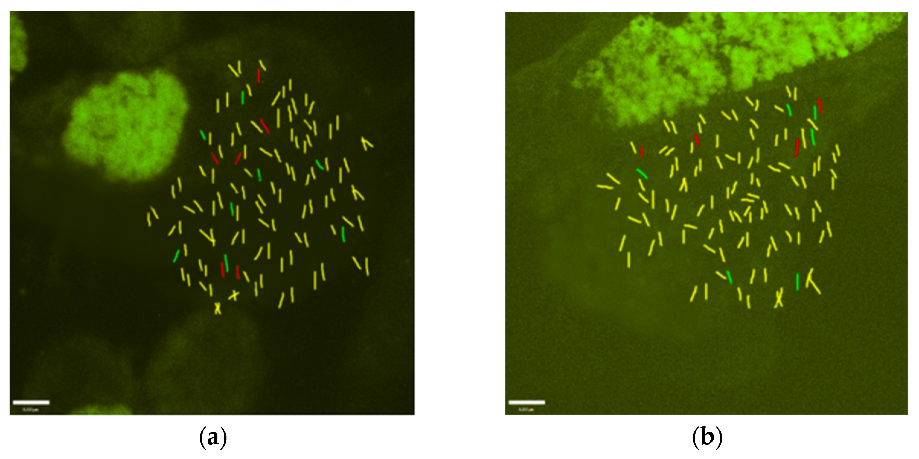 Plants 12 00810 g002