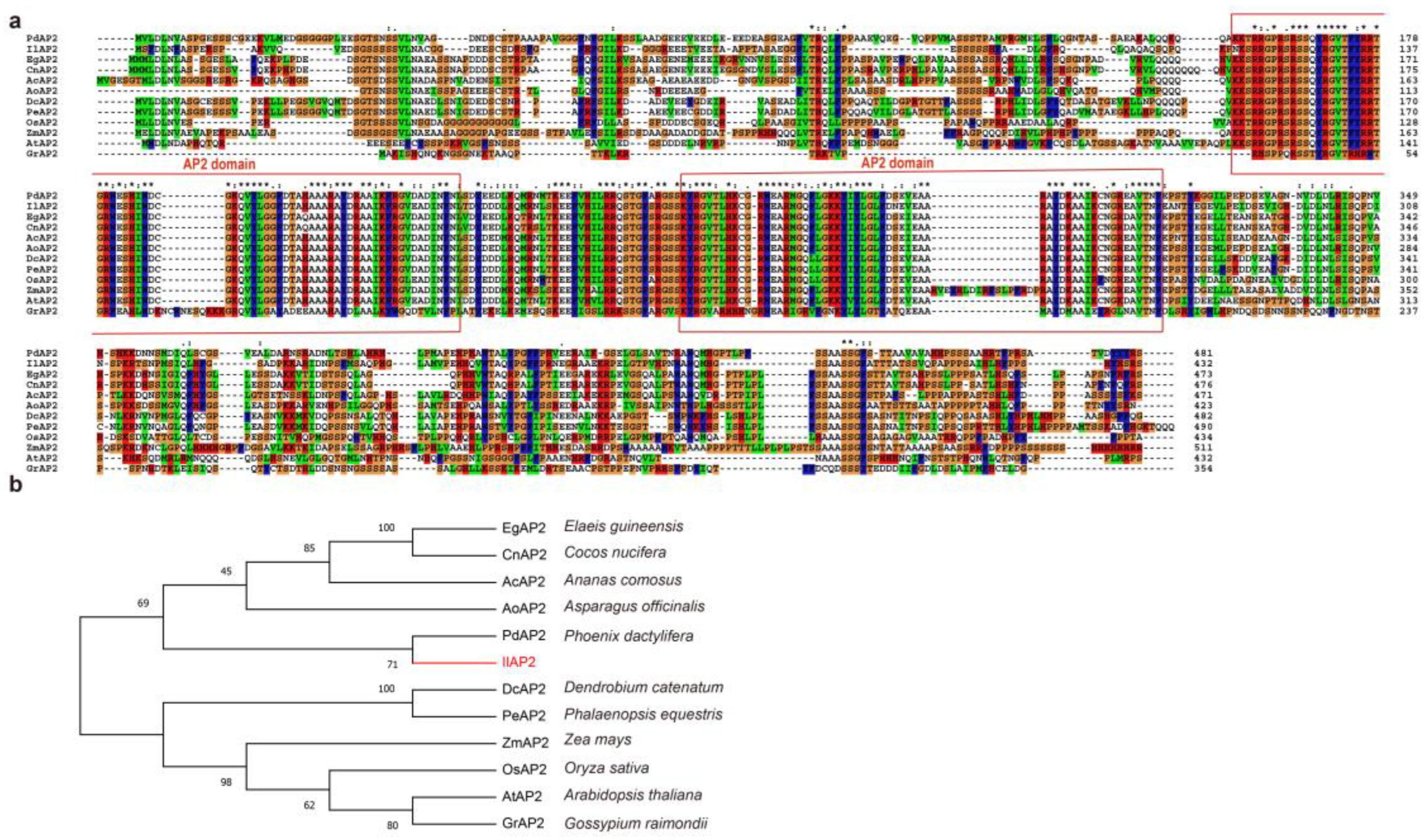 Plants 12 00823 g001