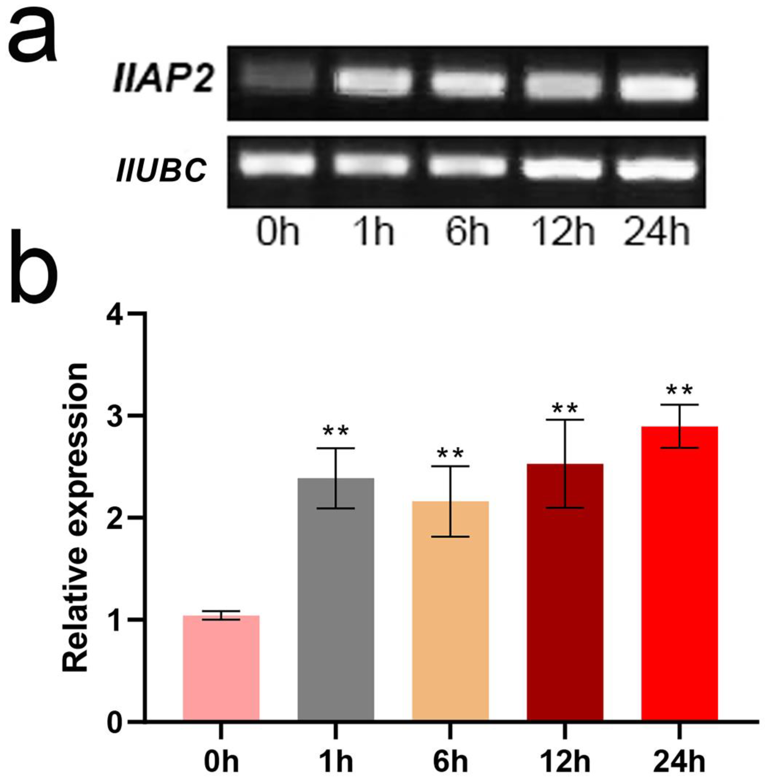 Plants 12 00823 g004