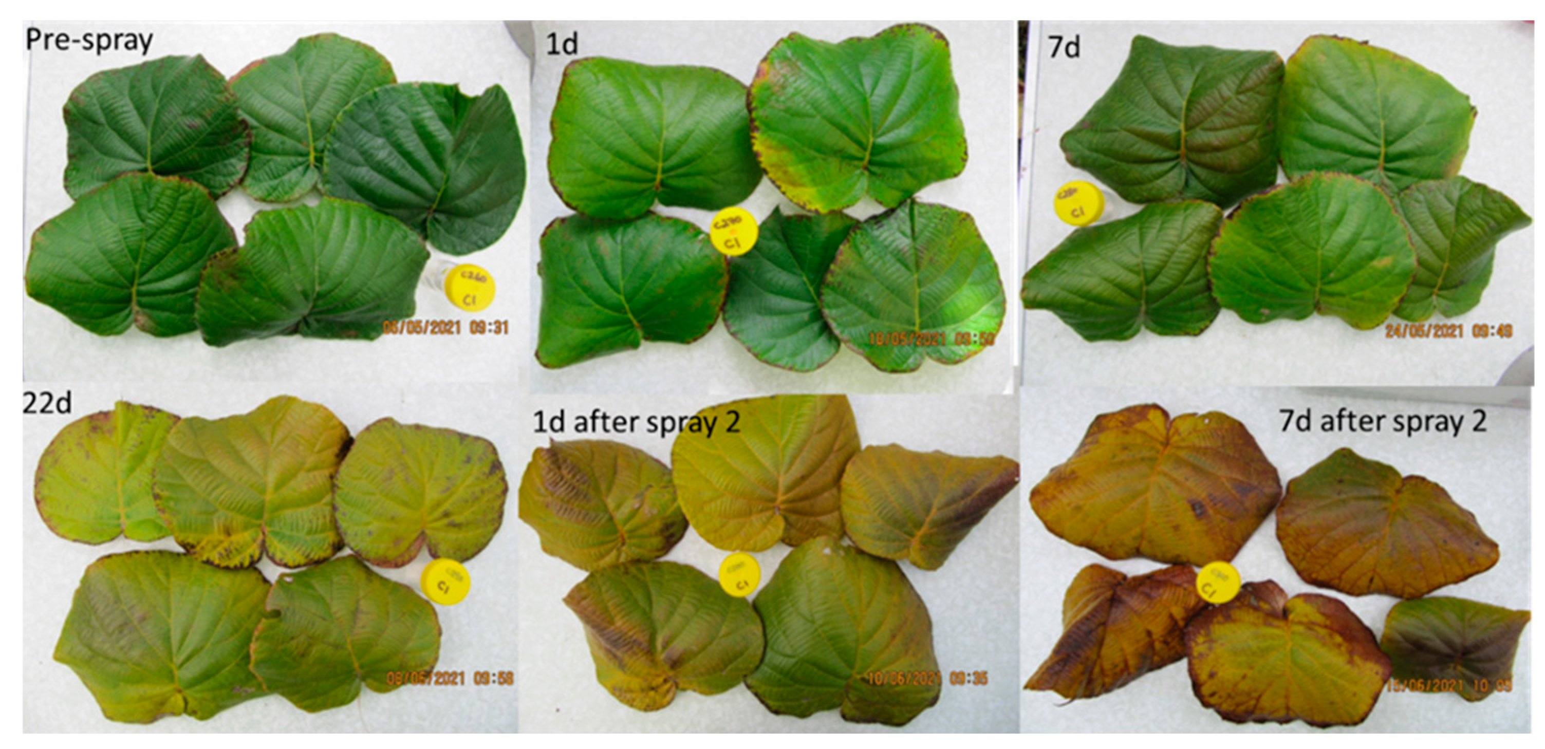 Plants 12 00833 g001