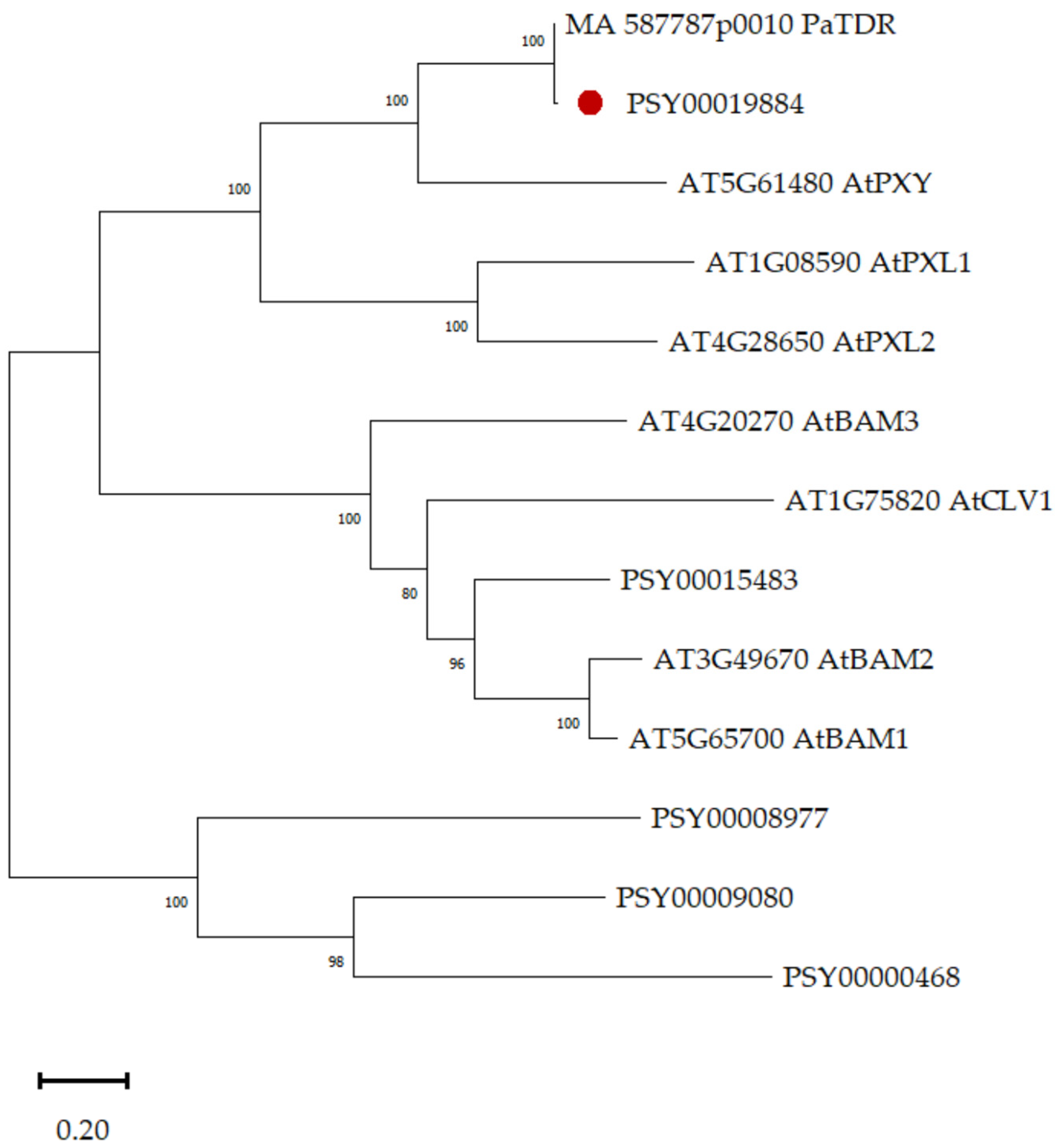 Plants 12 00835 g001 Plants 12 00835 g001