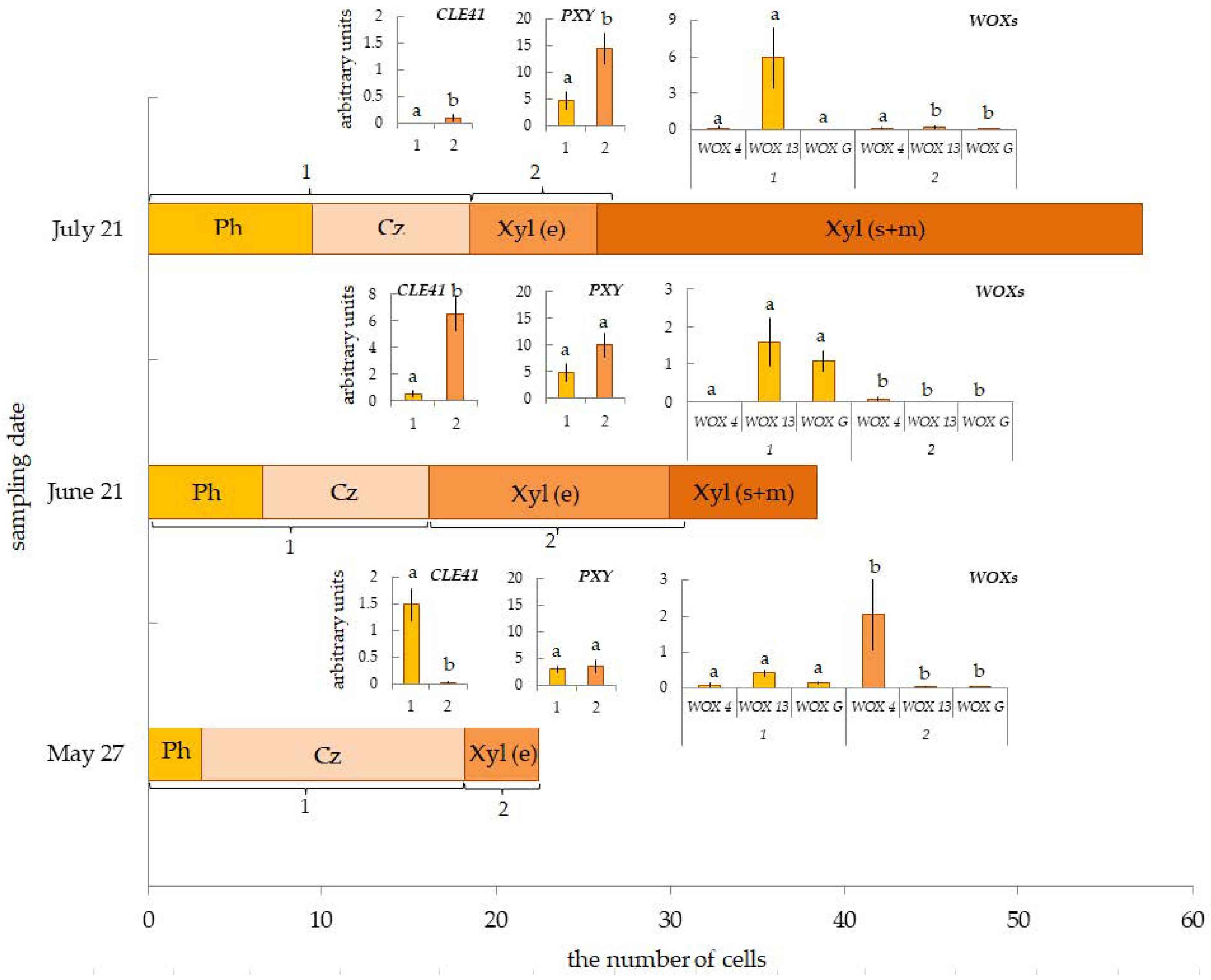 Plants 12 00835 g007 Plants 12 00835 g007