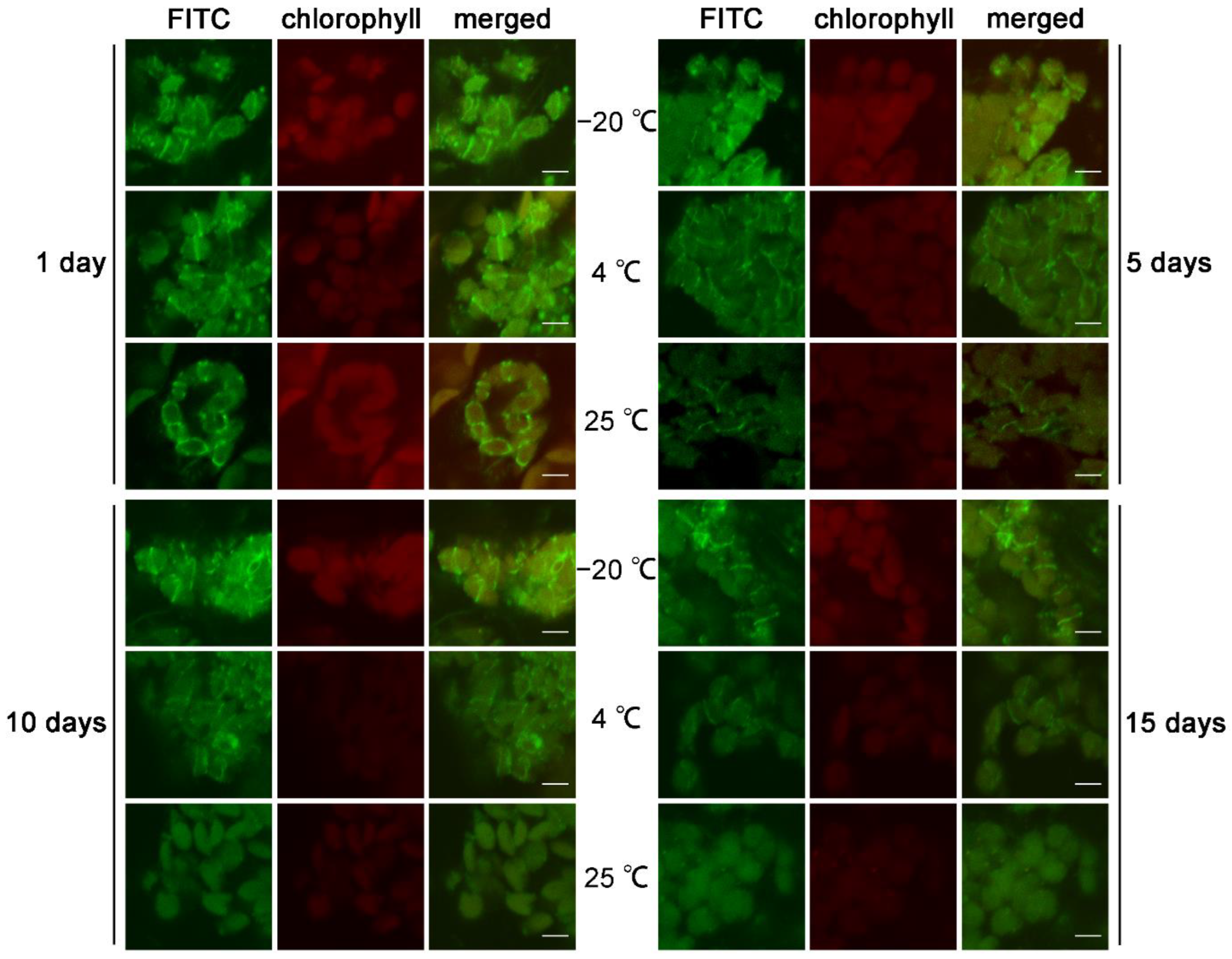 Plants 12 00841 g004