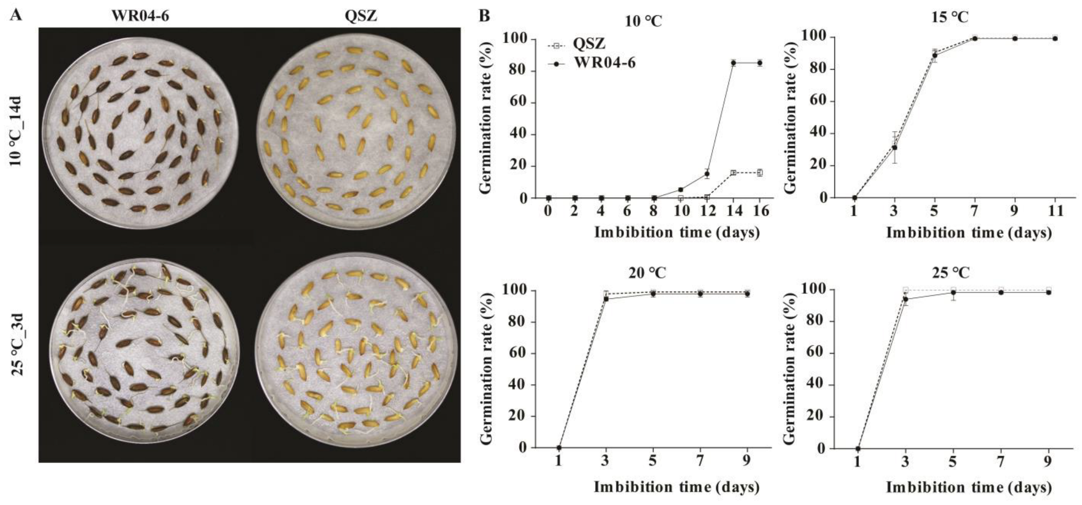 Plants 12 00871 g001