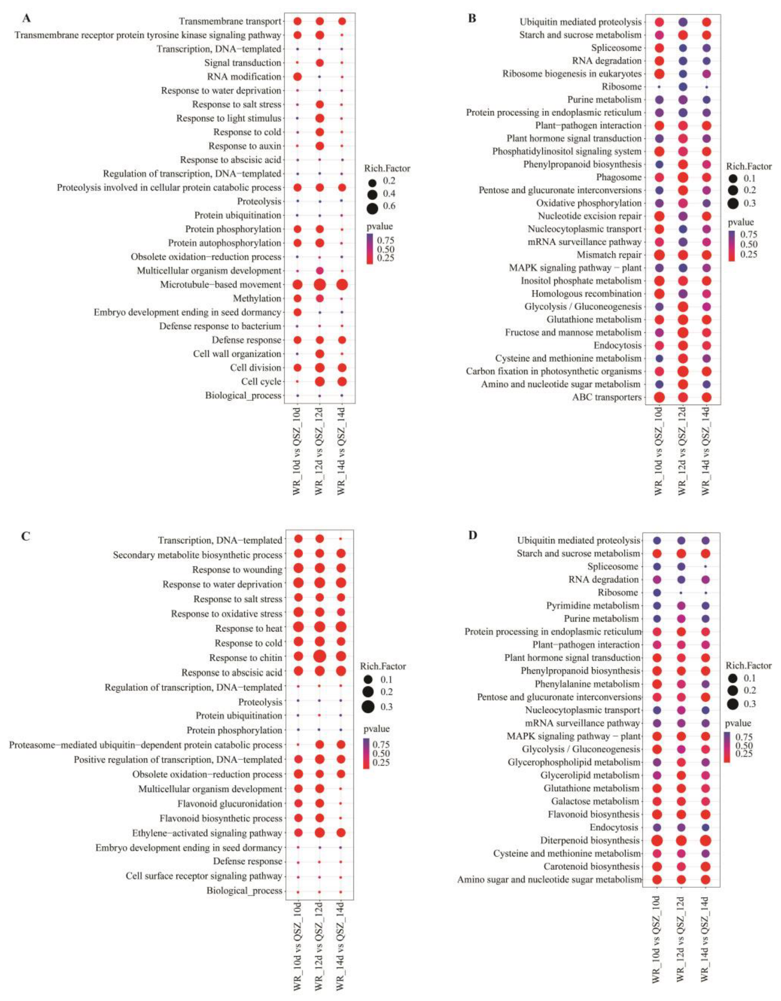 Plants 12 00871 g003