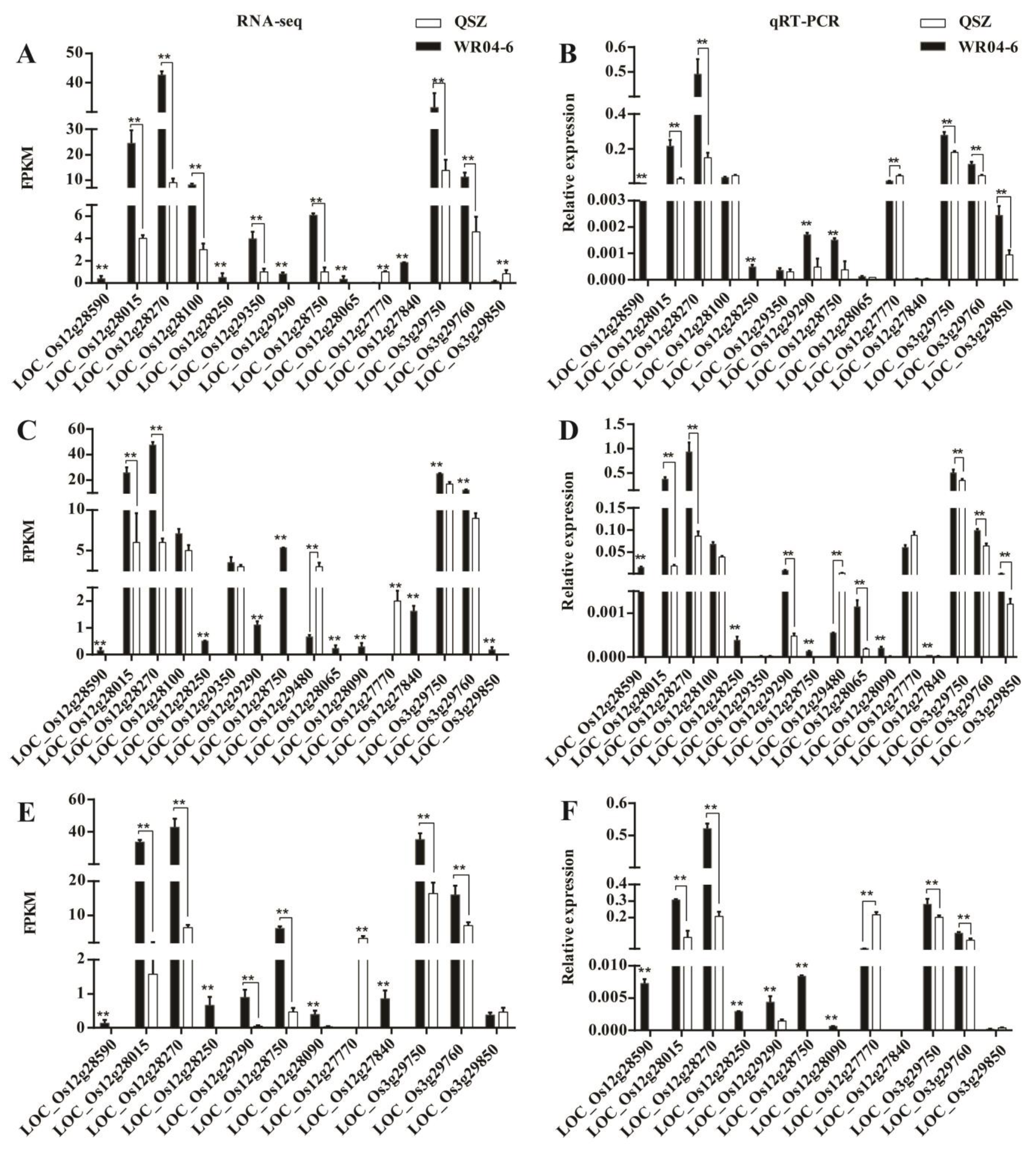 Plants 12 00871 g007
