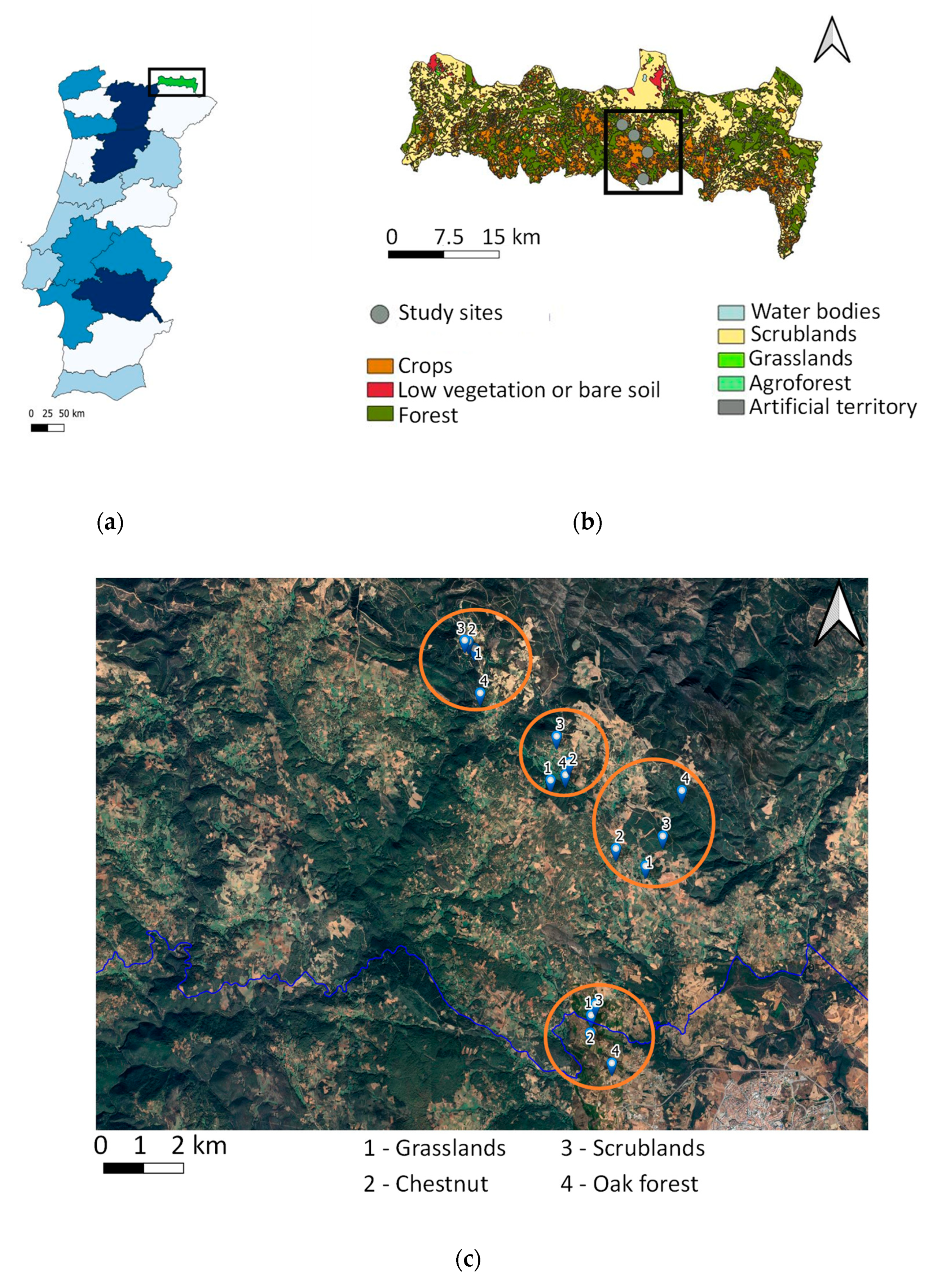 Plants 12 00889 g005