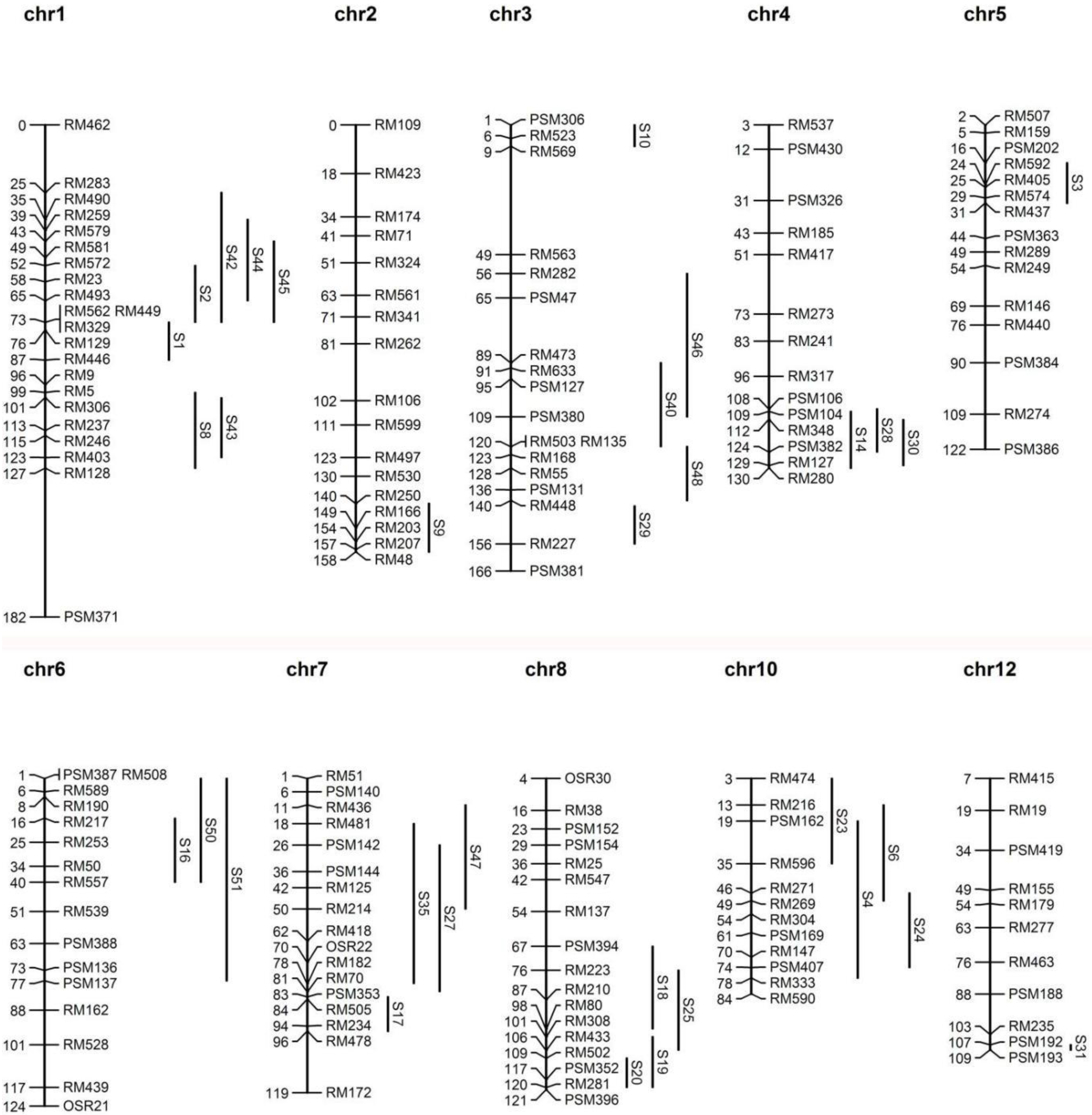 Plants 12 00892 g001