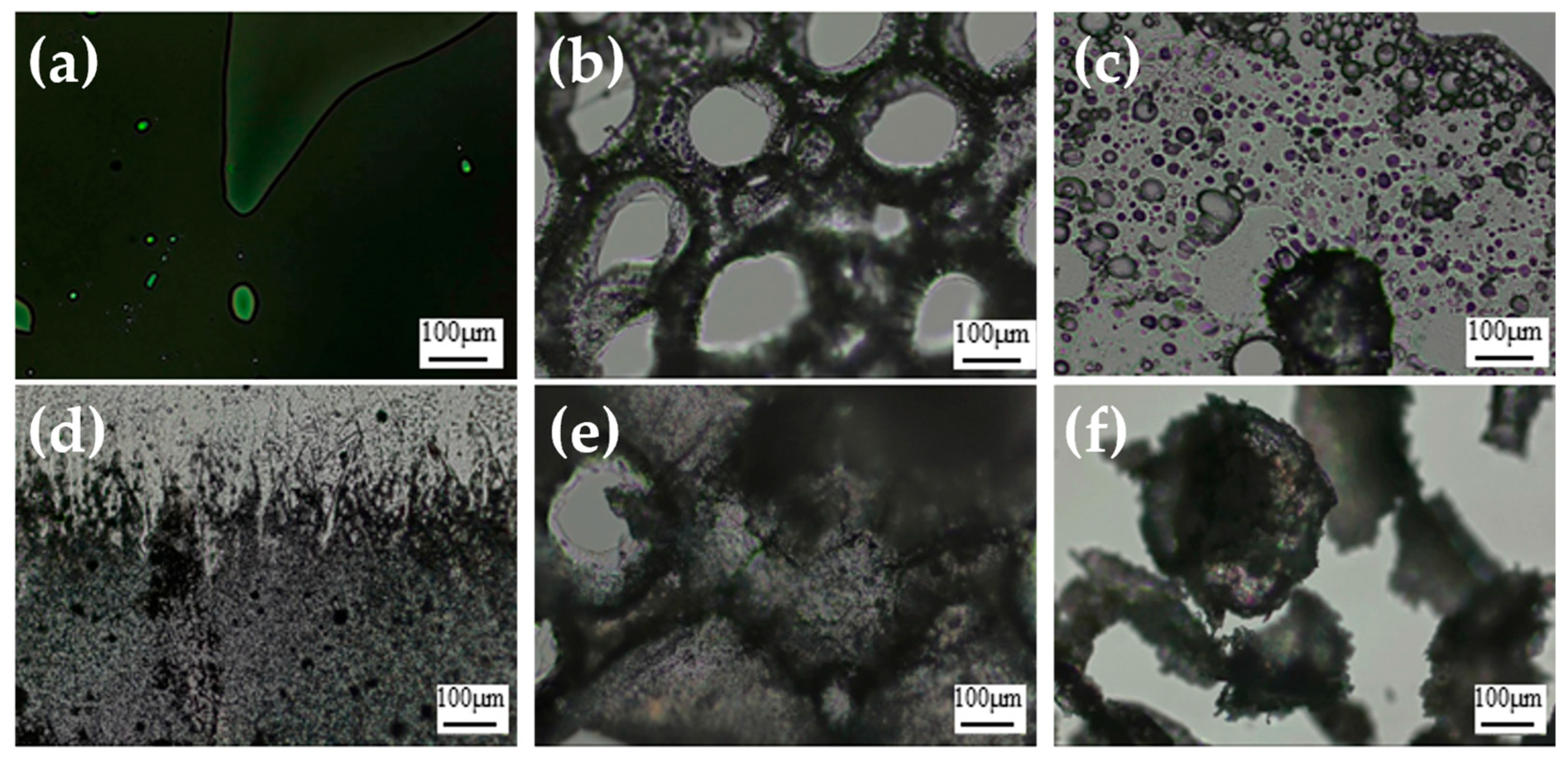 Plants 12 00898 g005