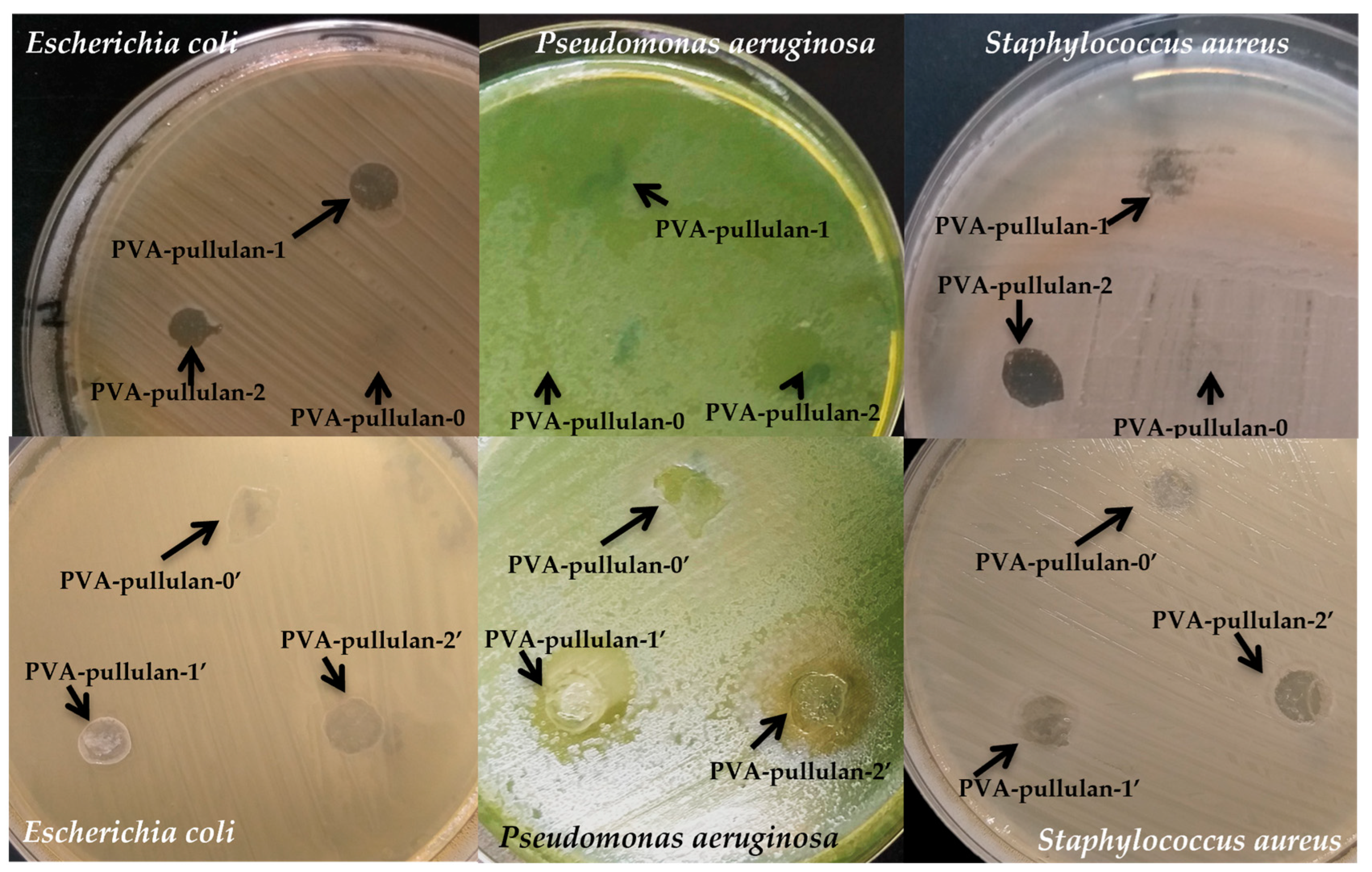 Plants 12 00898 g008