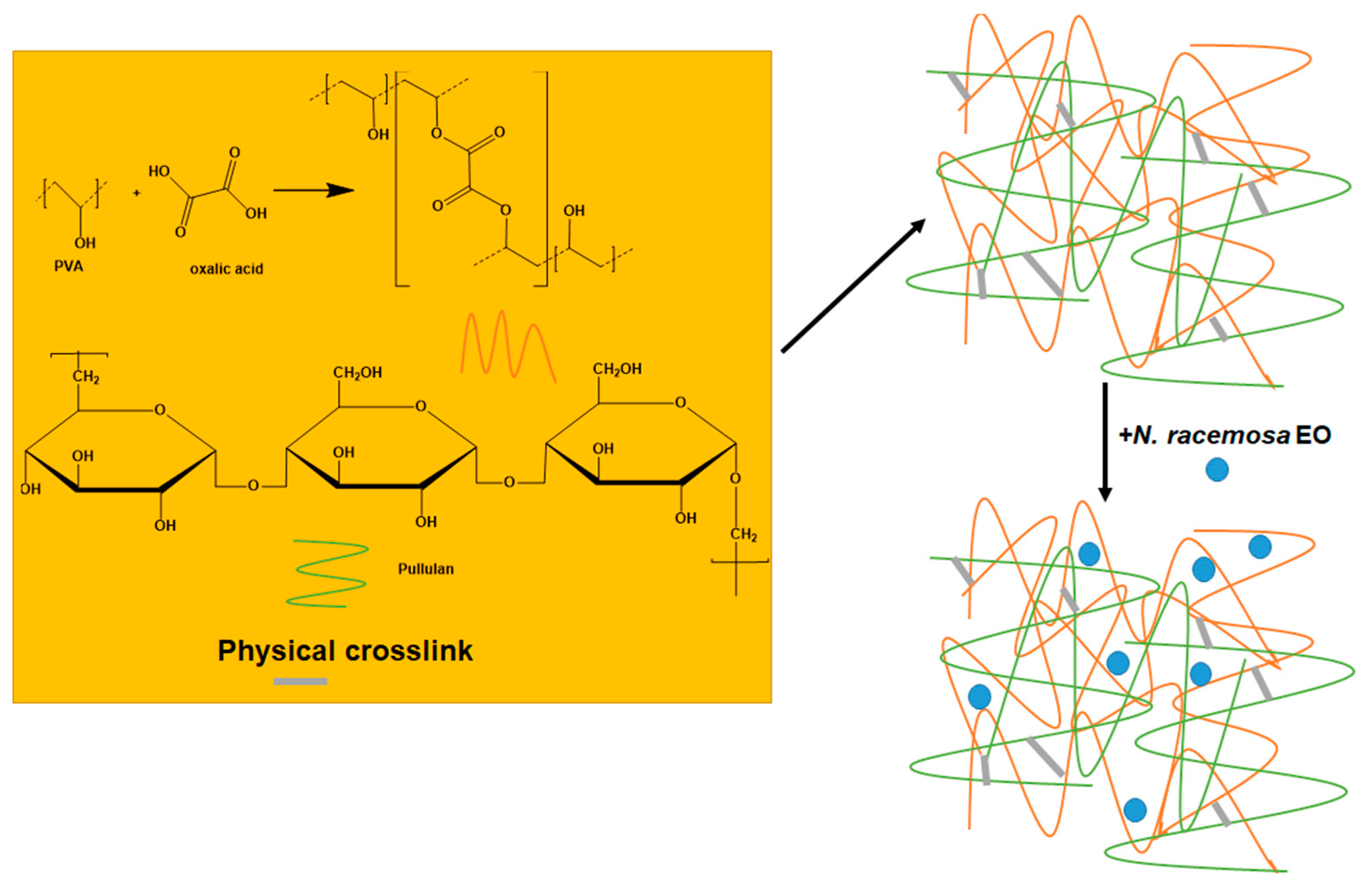 Plants 12 00898 sch001