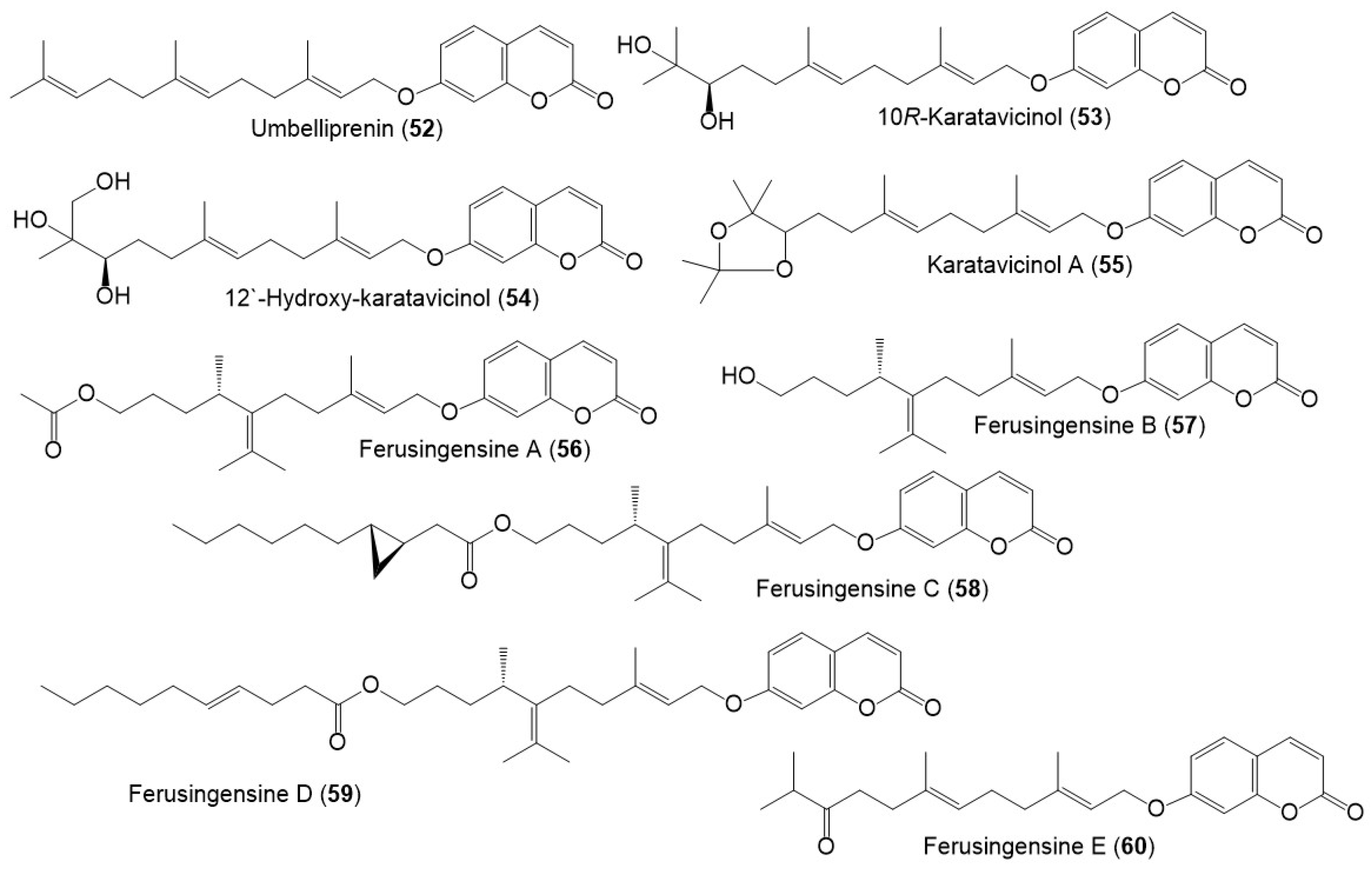 Plants 12 00902 g008 Plants 12 00902 g008