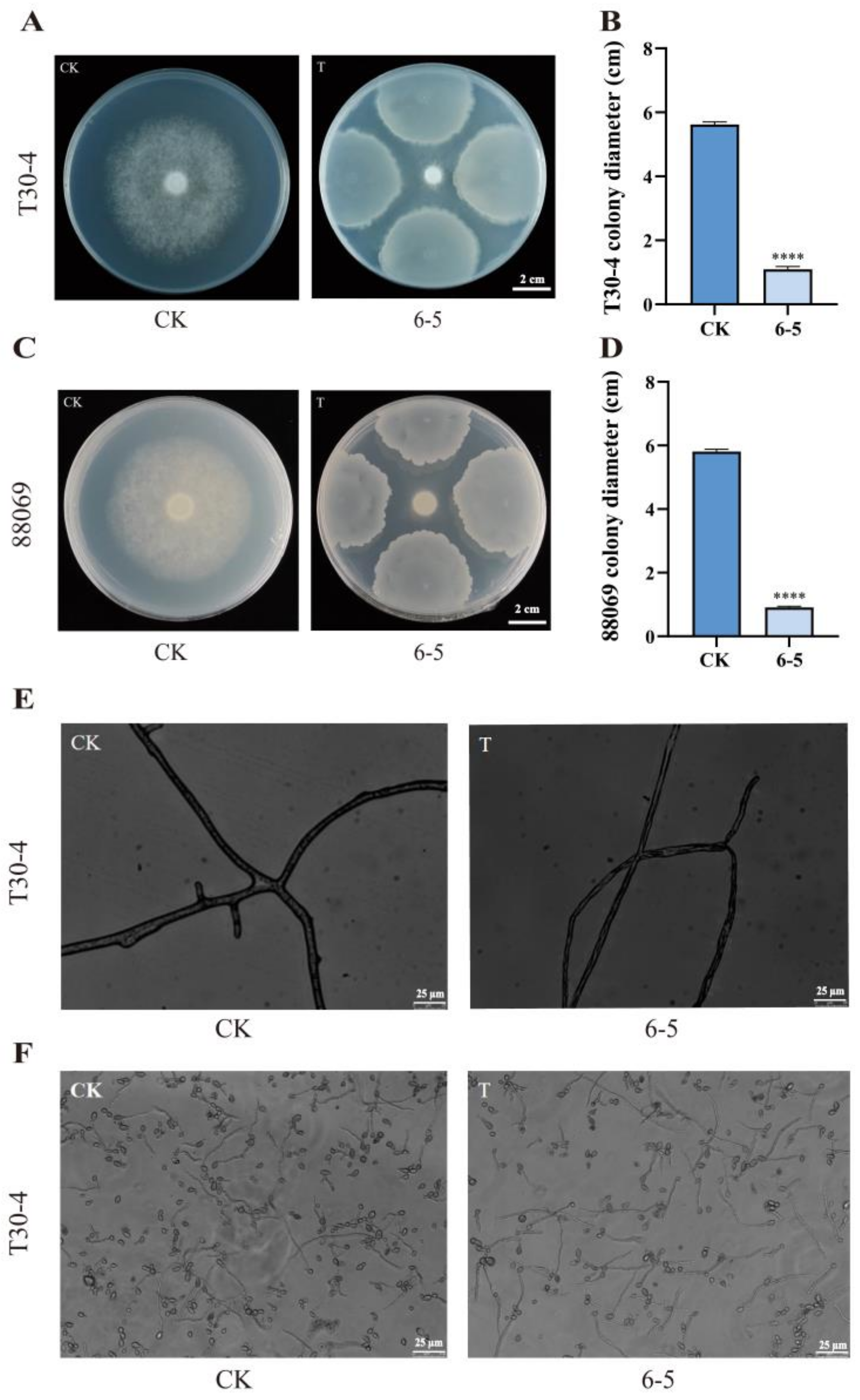 Plants 12 00909 g002 Plants 12 00909 g002