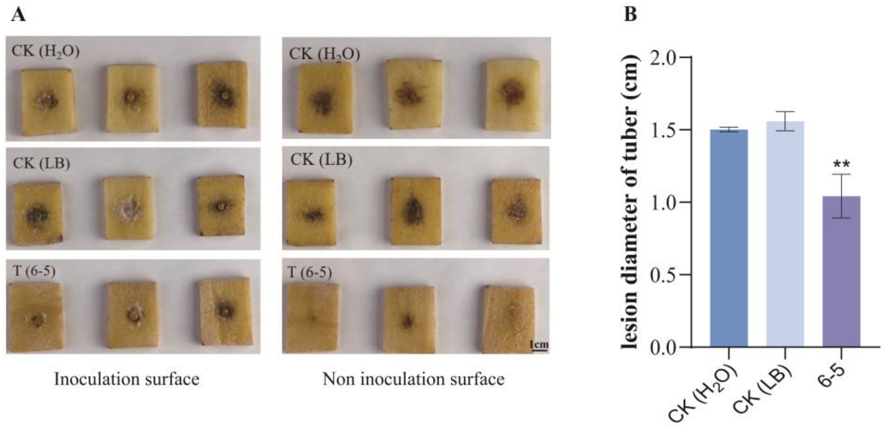 Plants 12 00909 g004 Plants 12 00909 g004