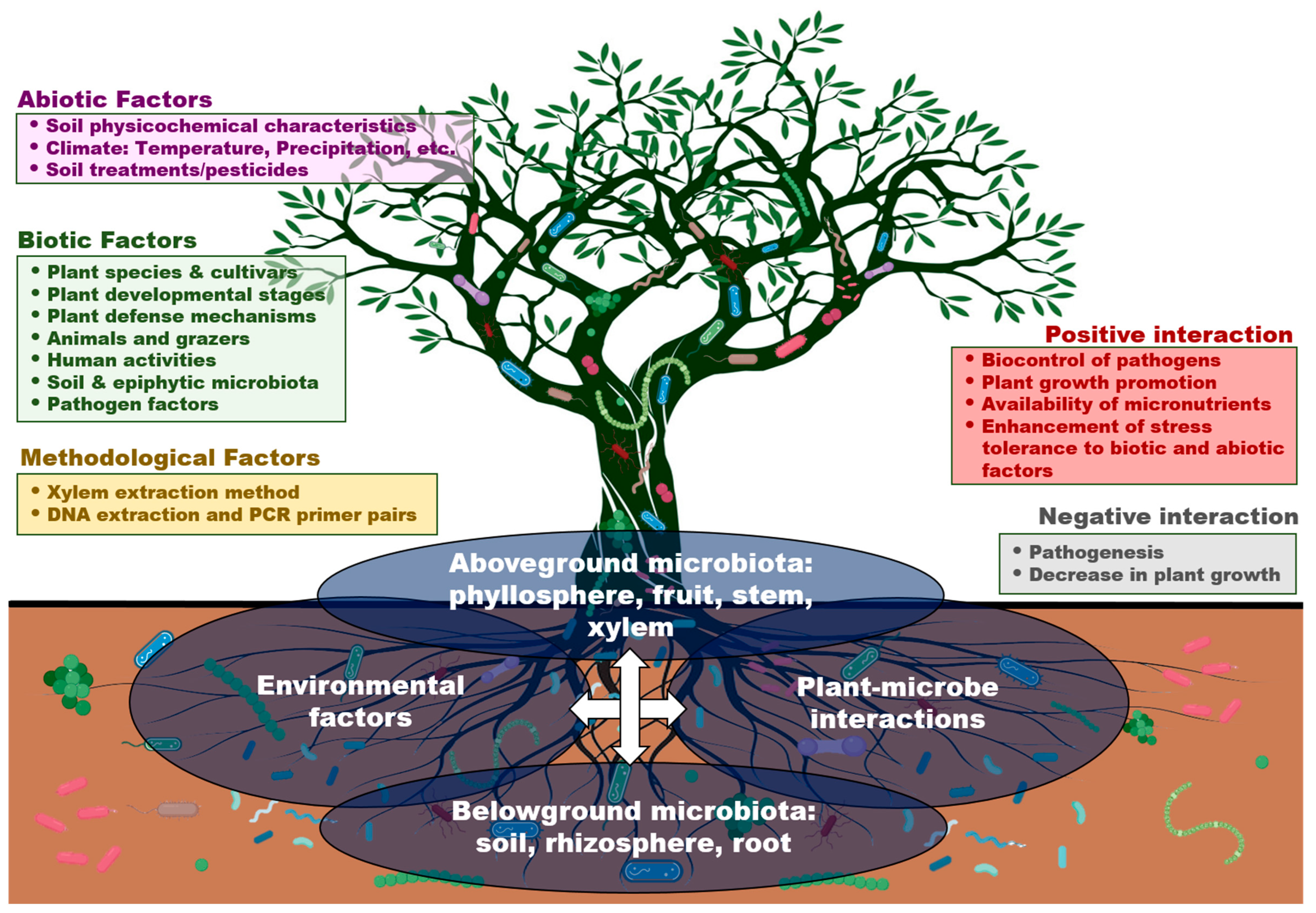 Plants 12 00912 g002 Plants 12 00912 g002