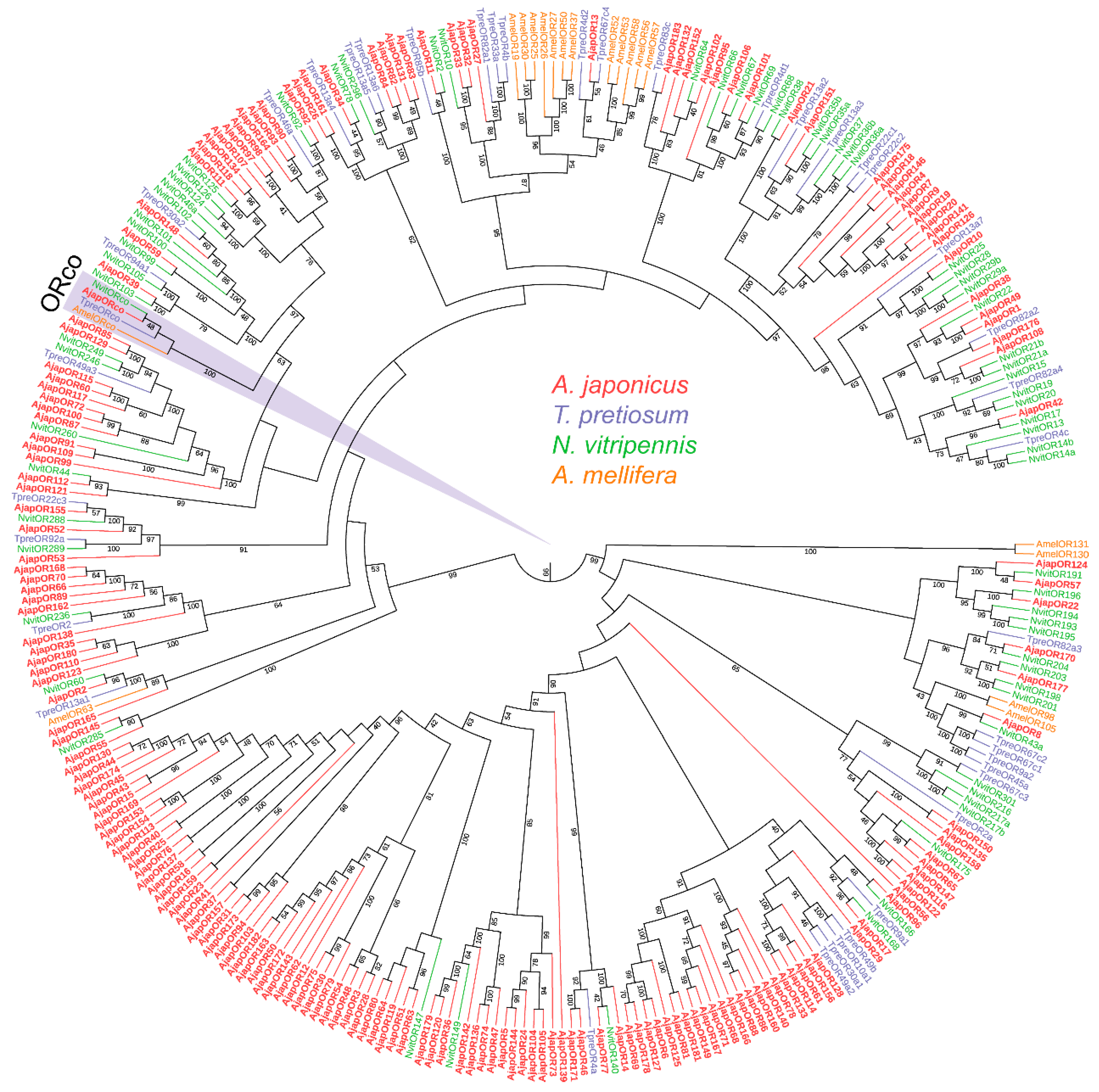 Plants 12 00915 g001