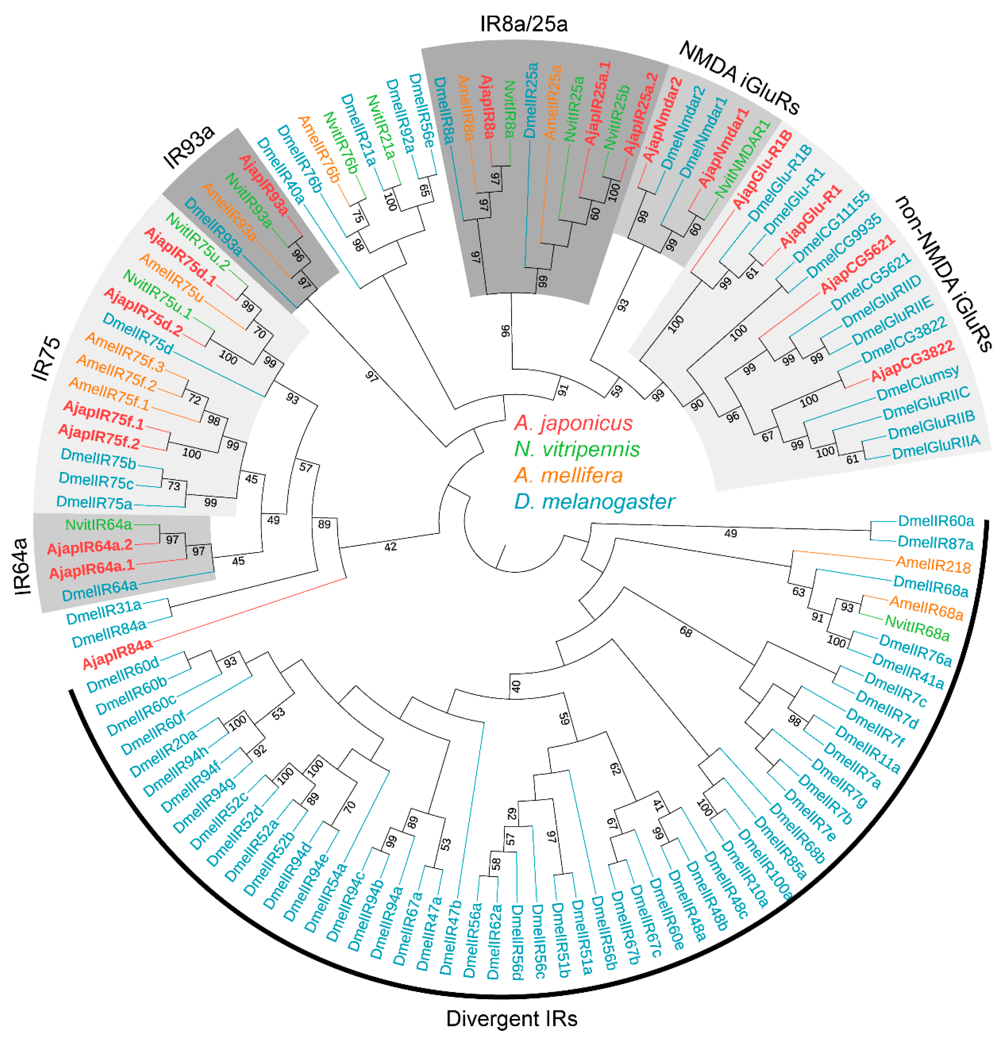 Plants 12 00915 g002