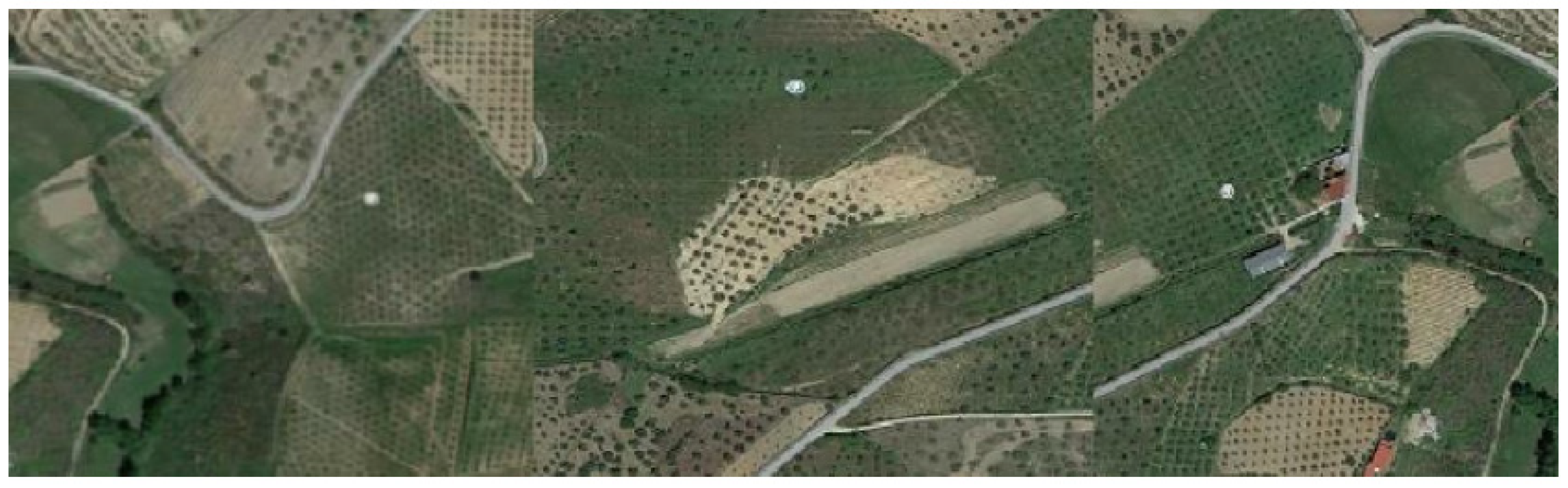 Plants 12 00916 g001