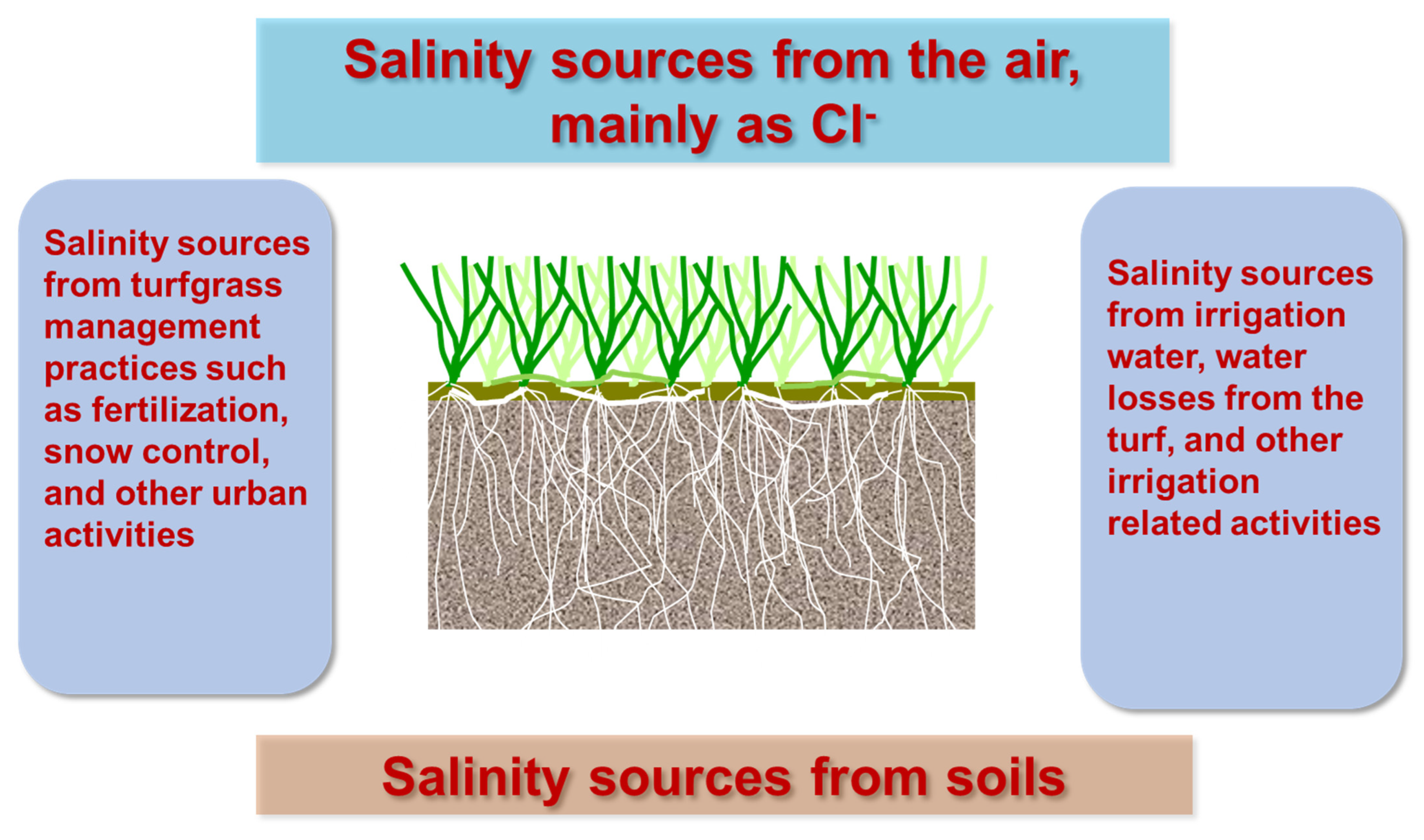 Plants 12 00925 g002 Plants 12 00925 g002