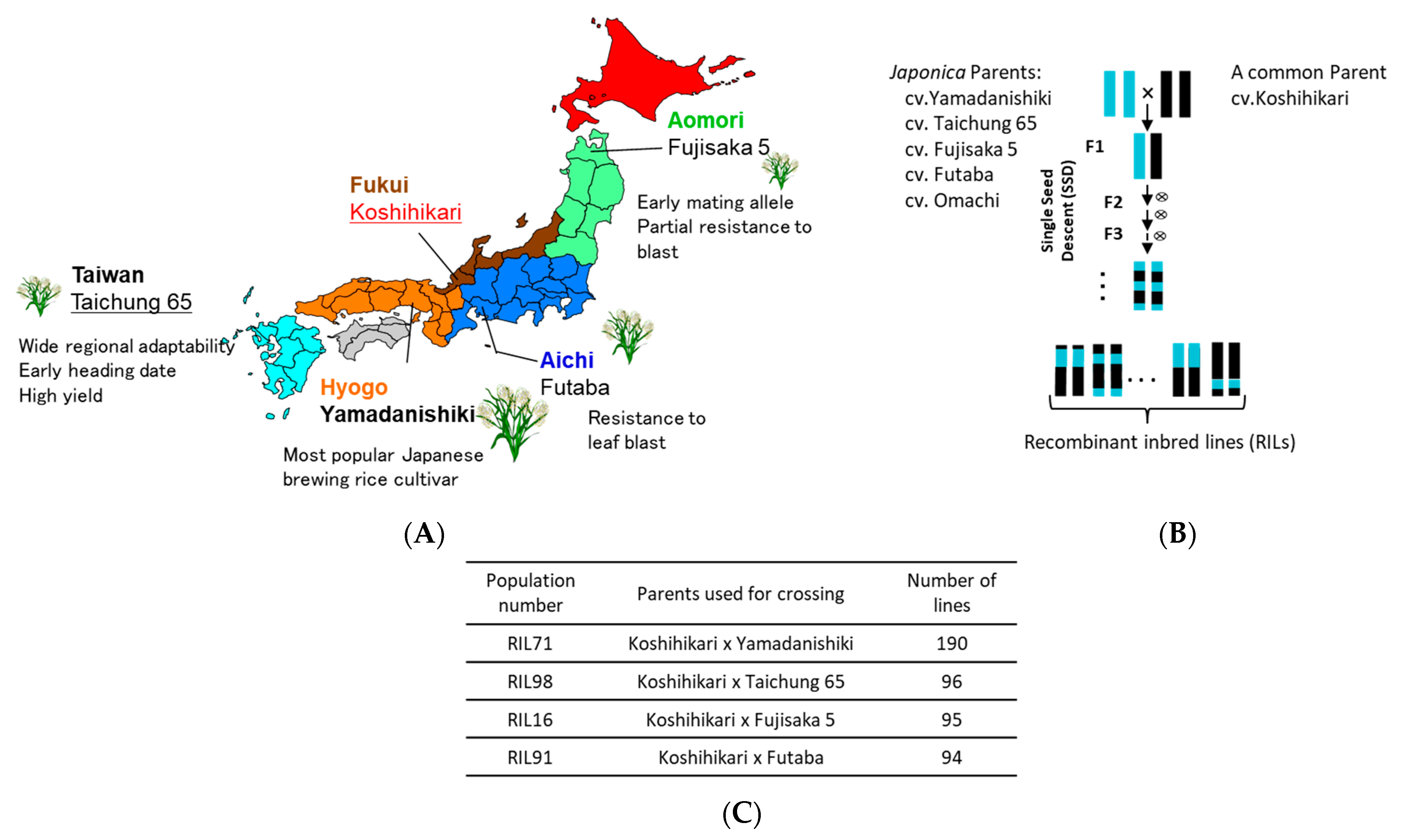 Plants 12 00929 g001