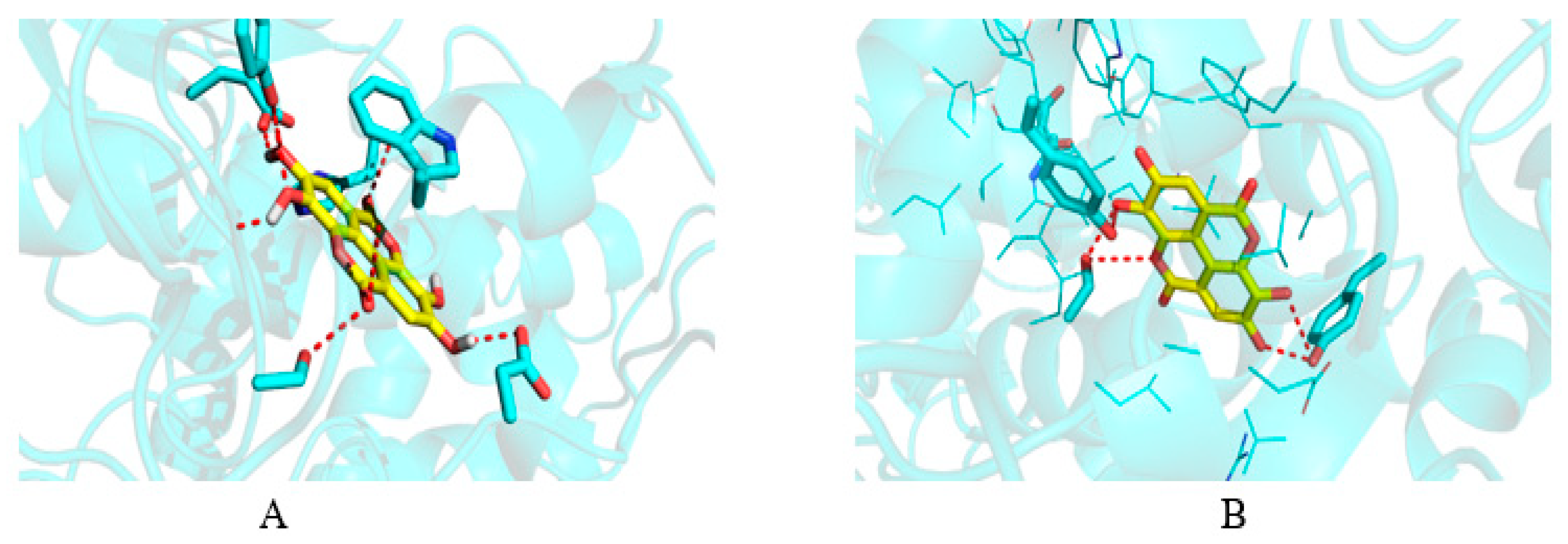 Plants 12 00934 g005