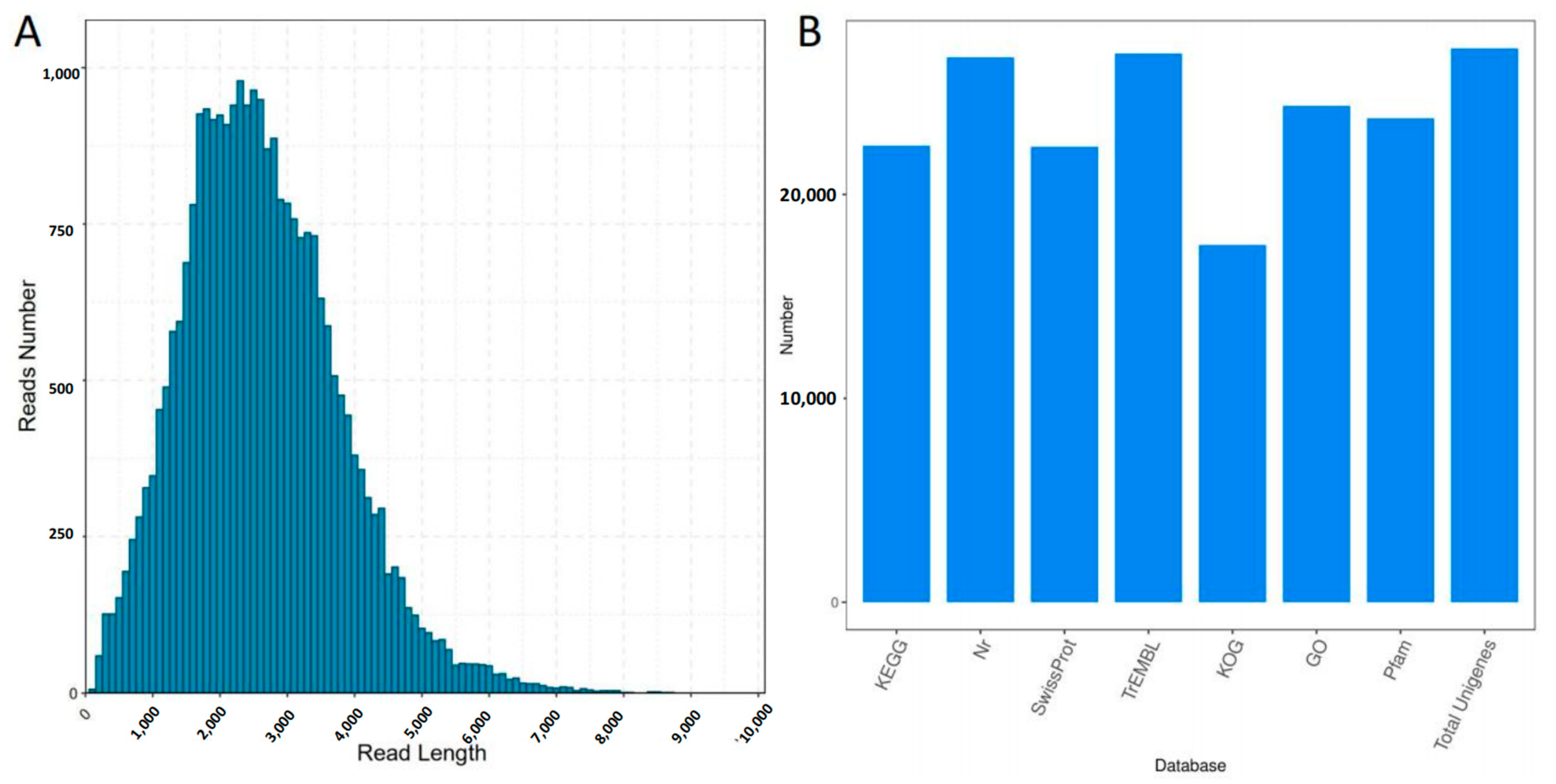 Plants 12 00942 g001