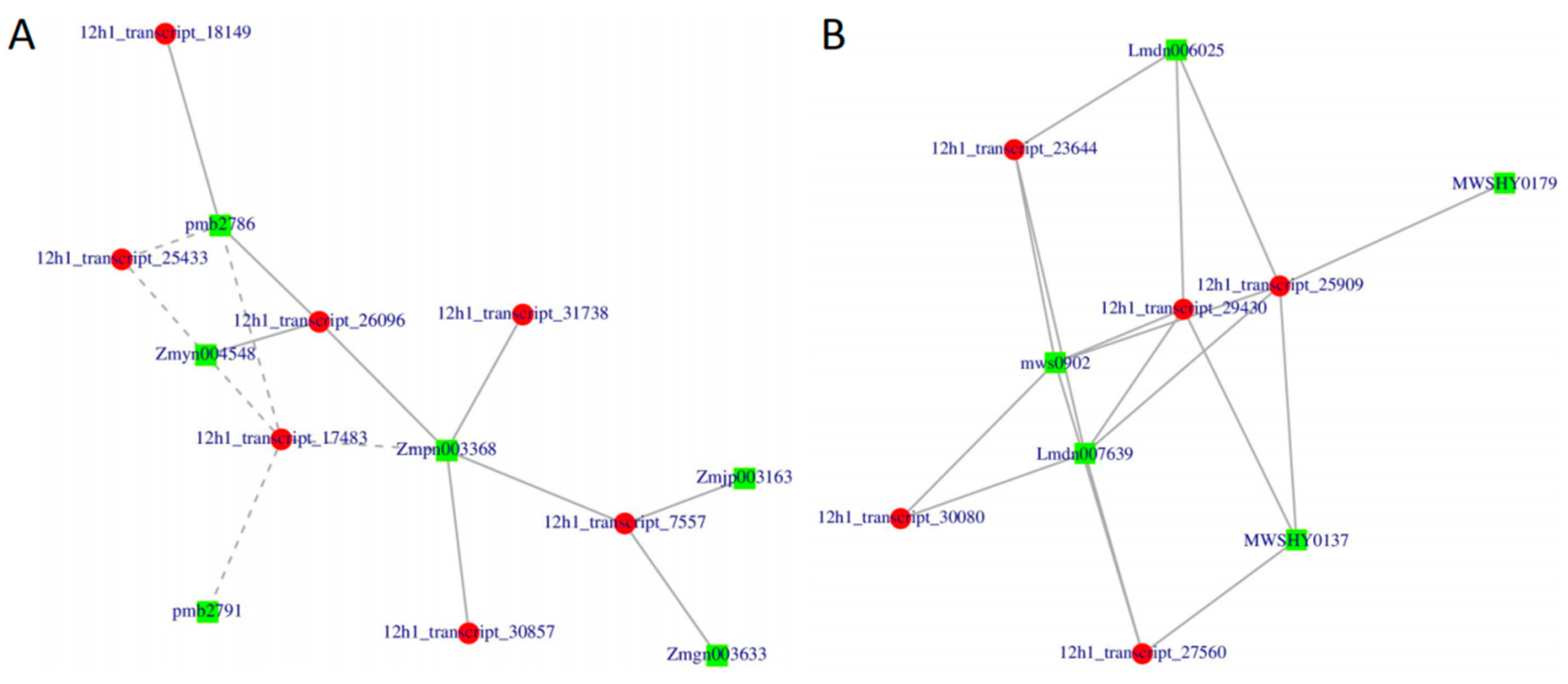 Plants 12 00942 g007