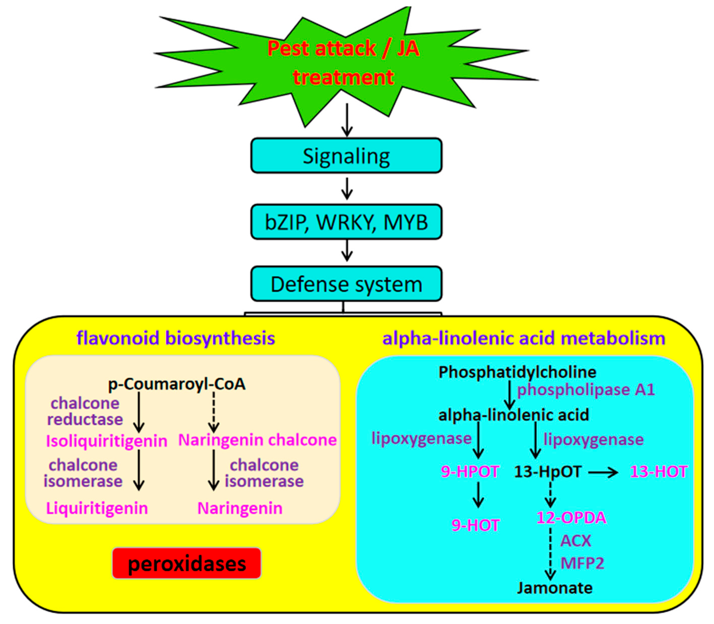 Plants 12 00942 g008