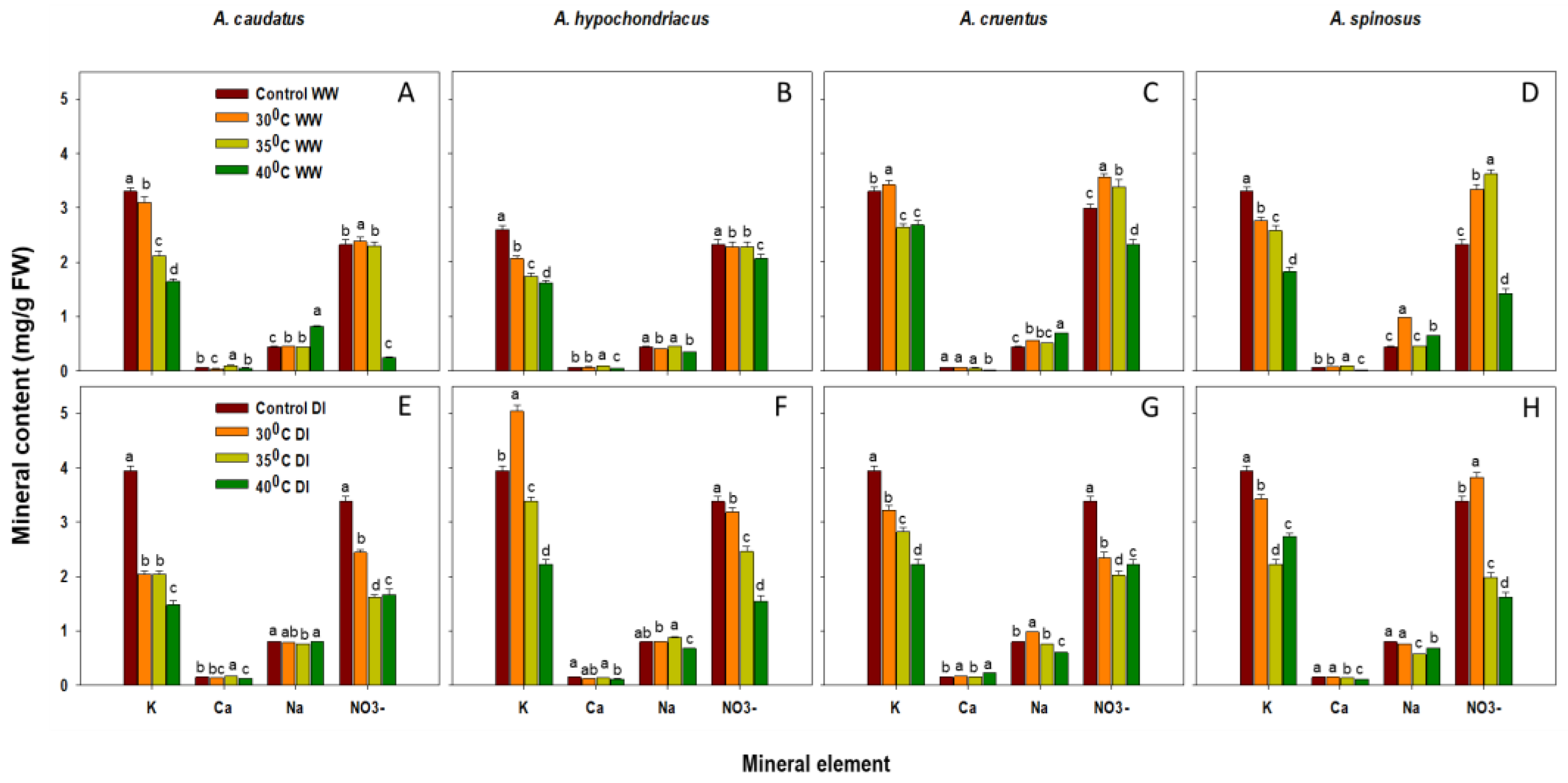 Plants 12 00953 g001