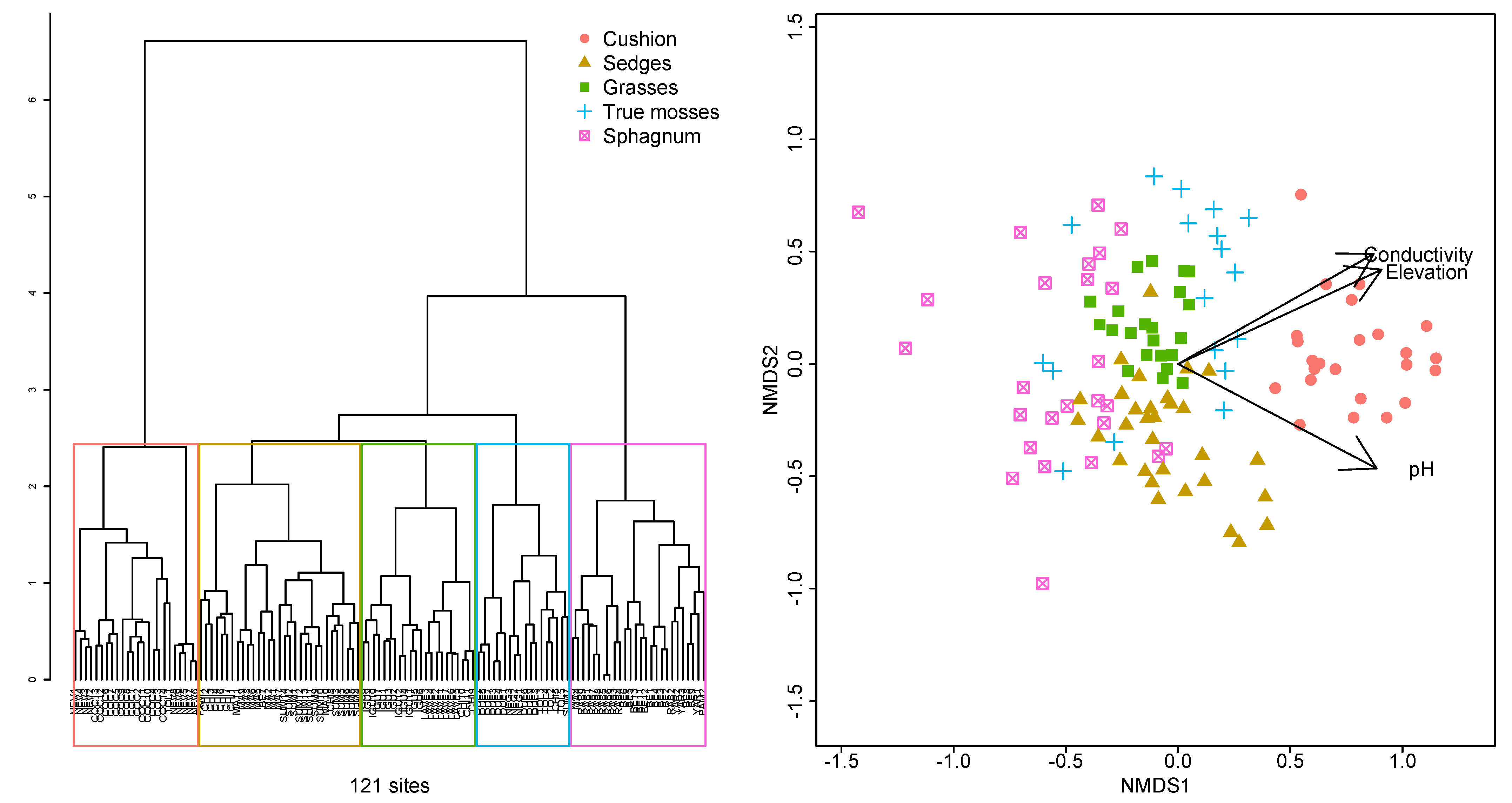 Plants 12 00955 g002