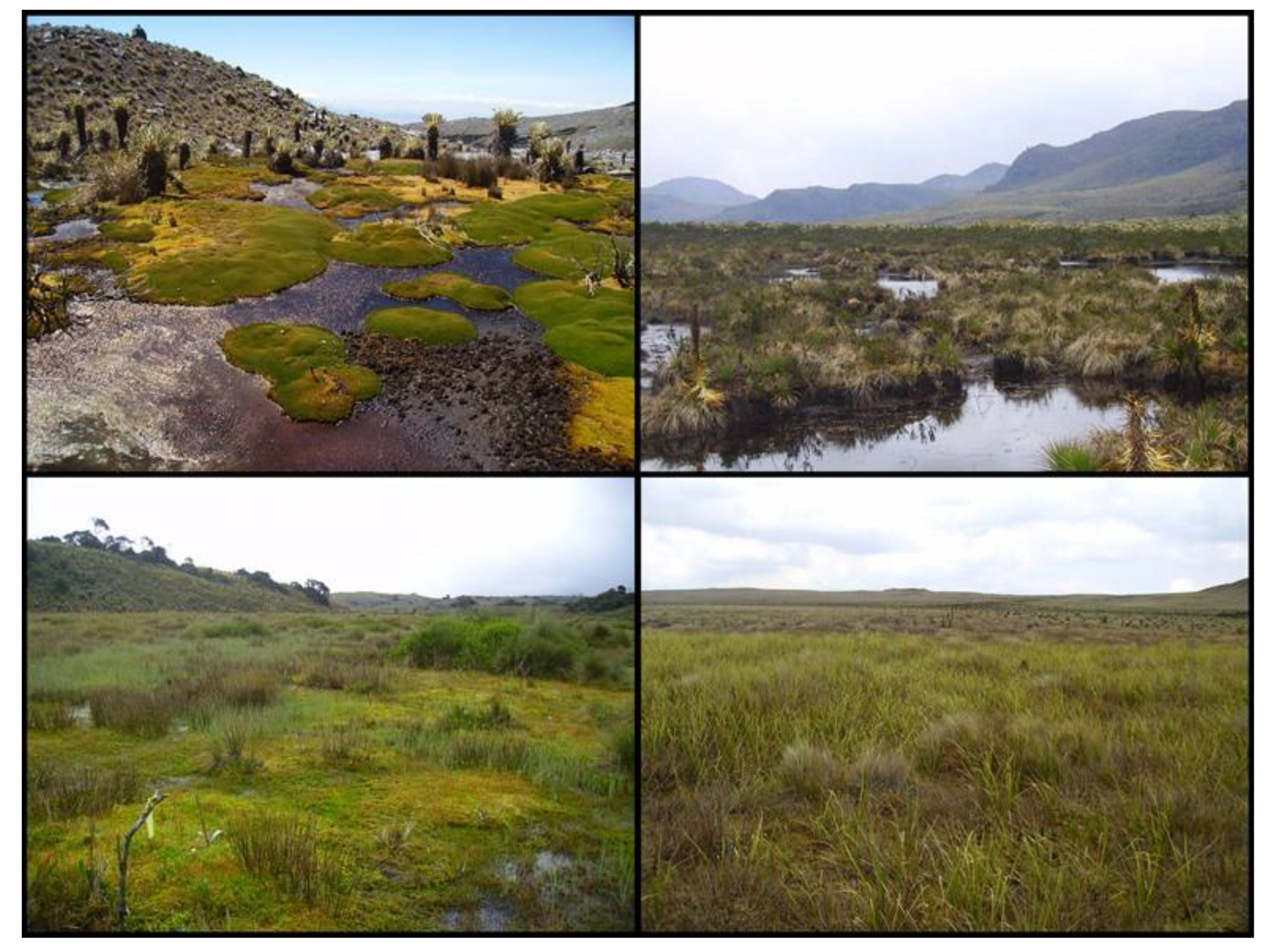 Plants 12 00955 g003