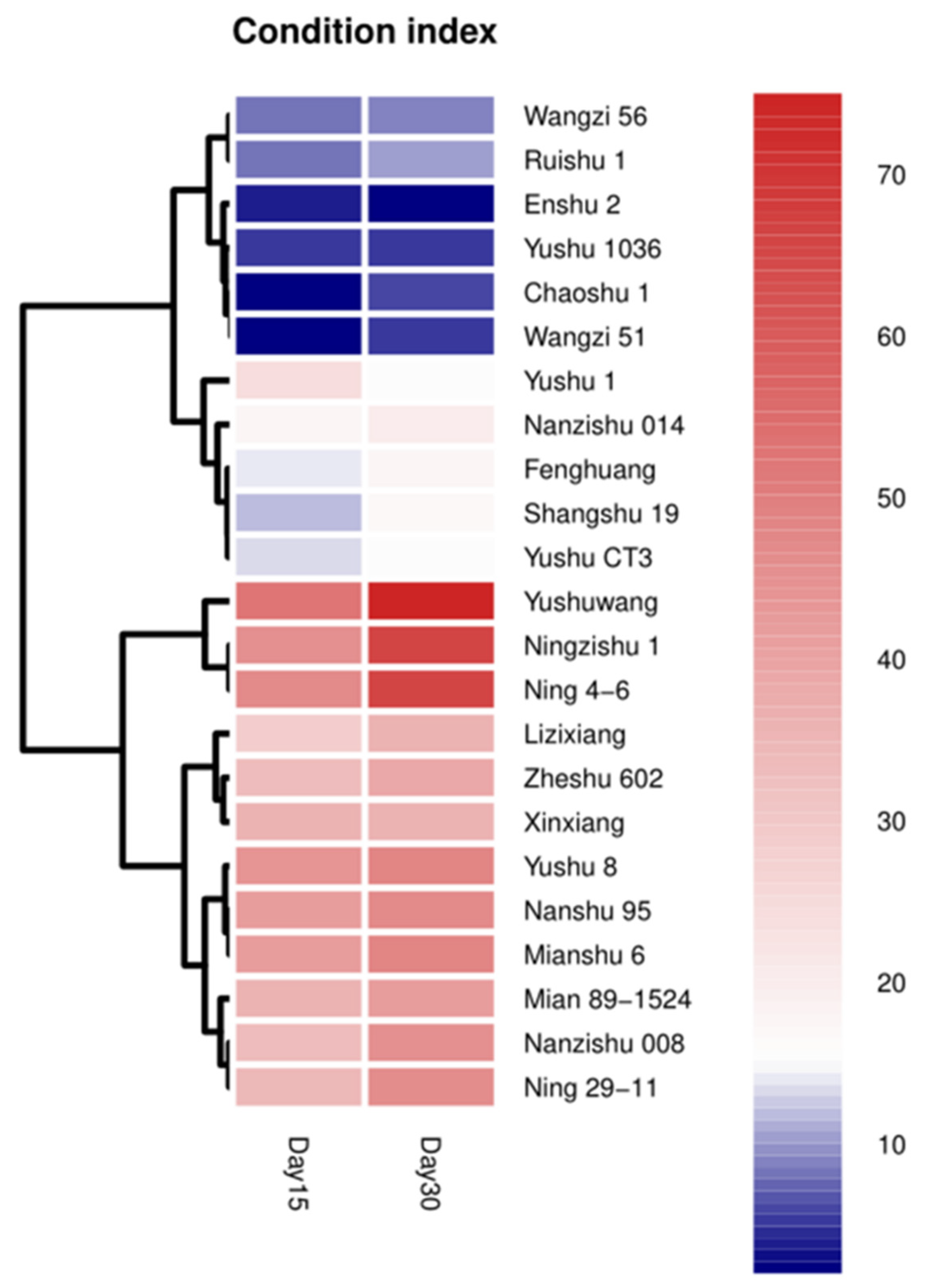 Plants 12 00957 g003 Plants 12 00957 g003