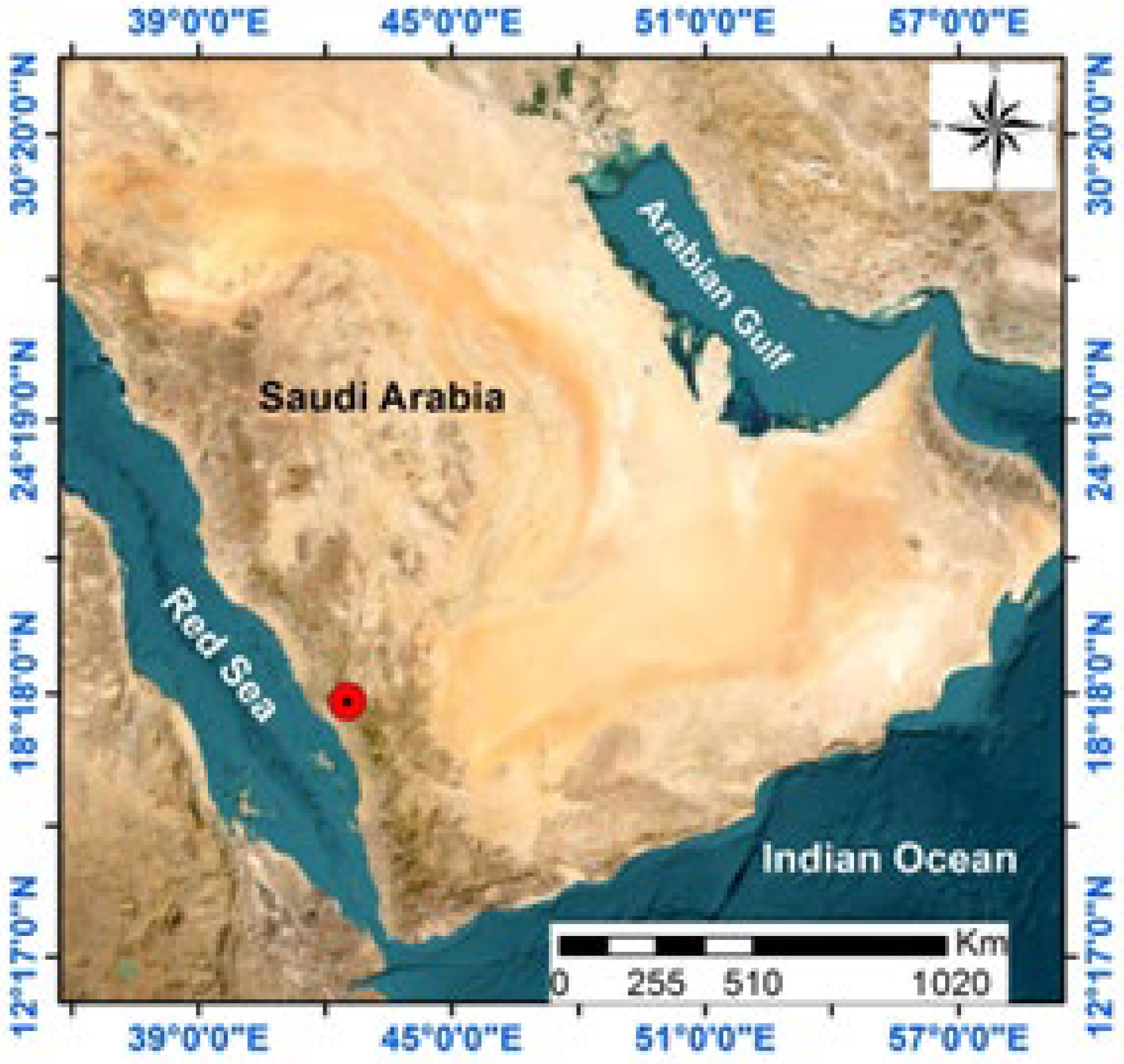 Plants 12 00959 g003