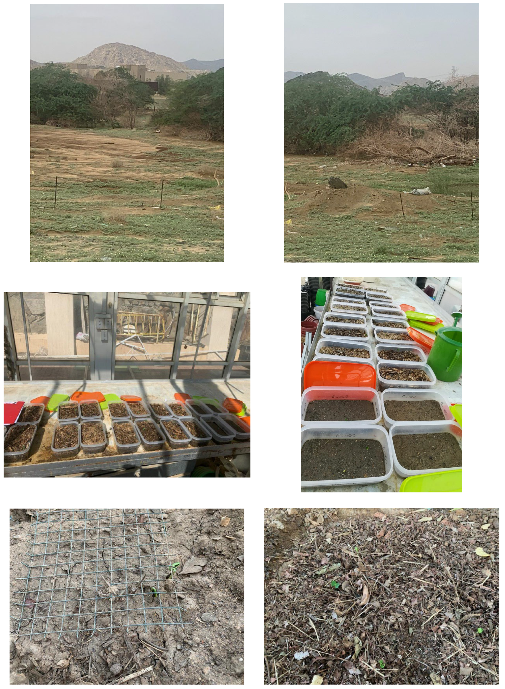 Plants 12 00959 g004