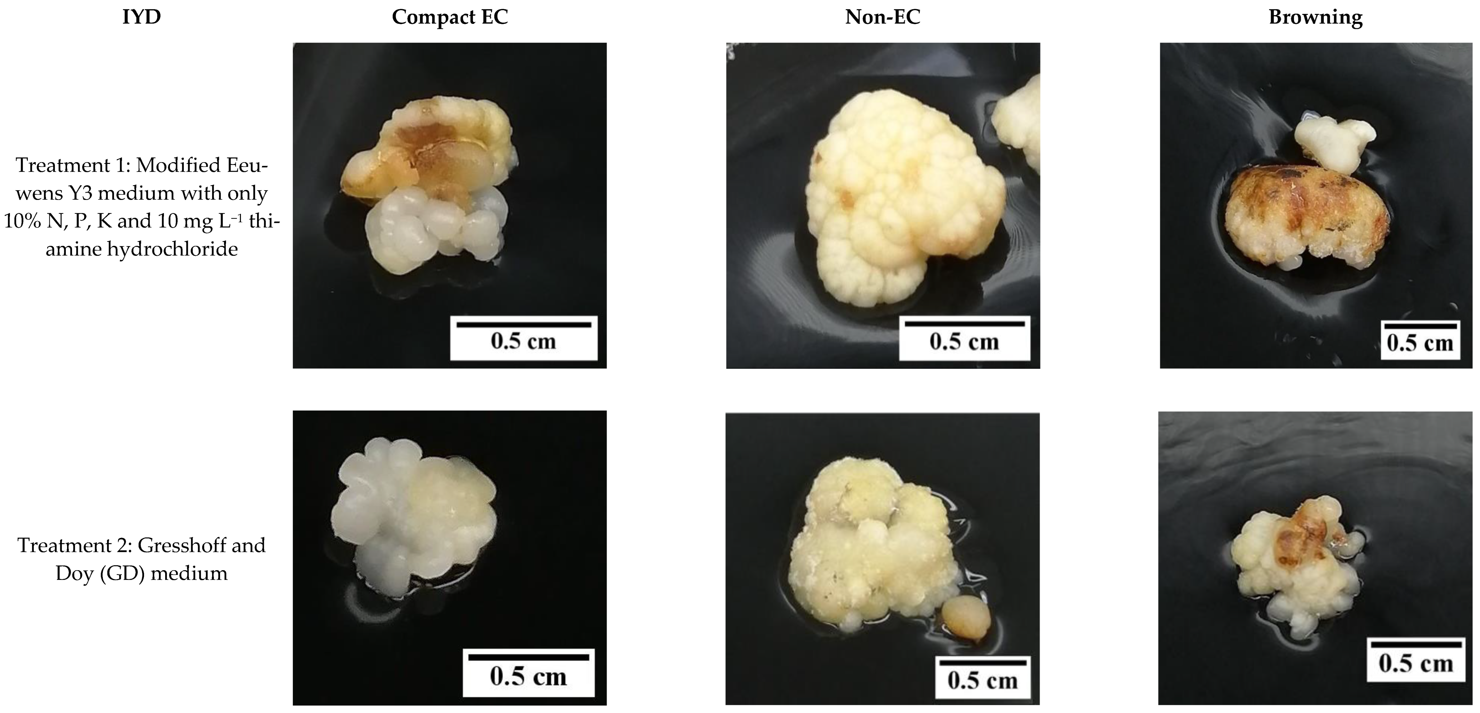 Plants 12 00968 g008