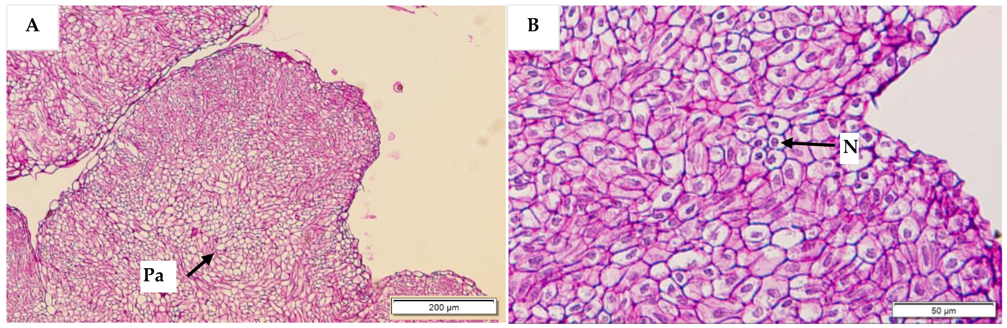 Plants 12 00968 g011
