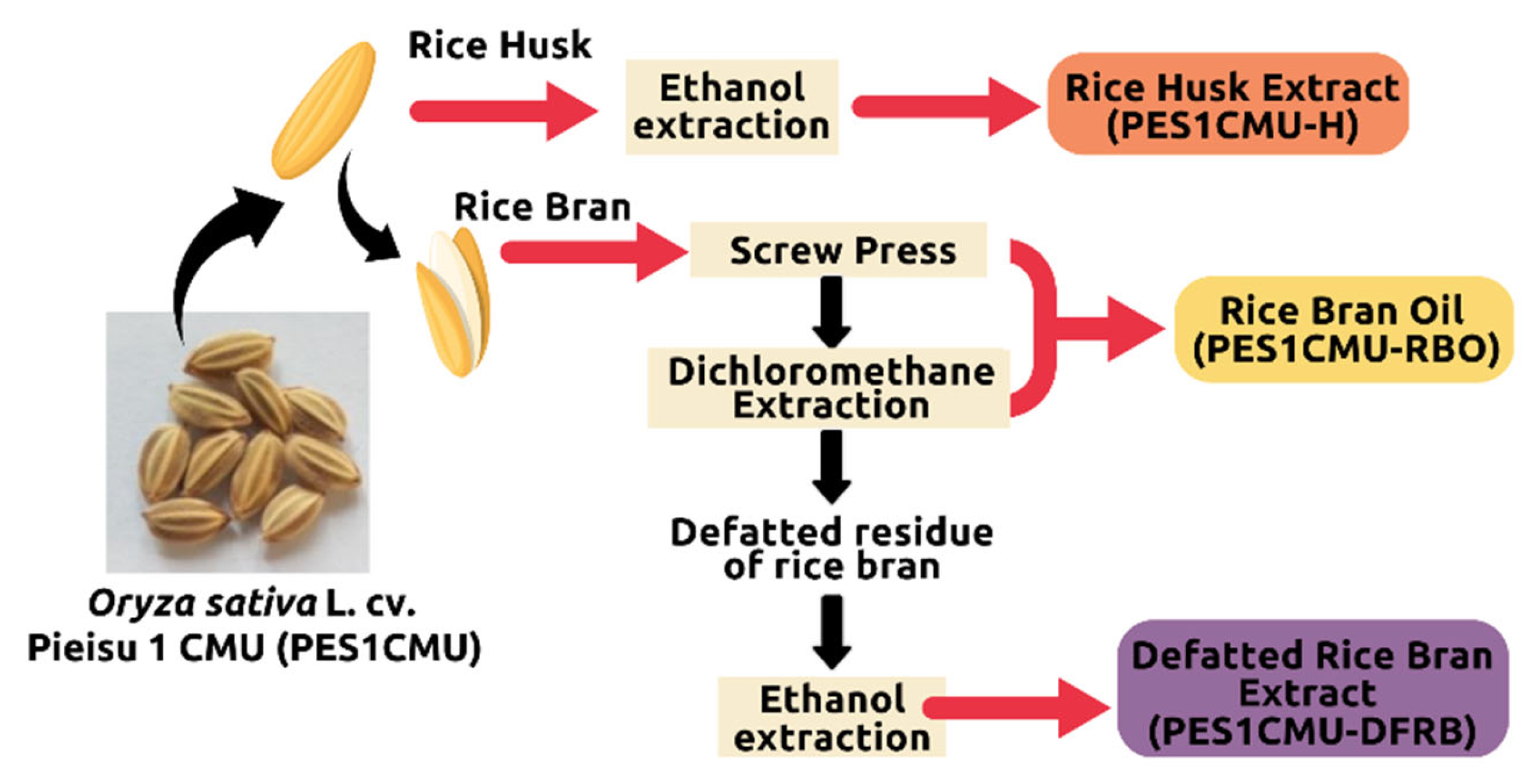 Plants 12 00970 g006