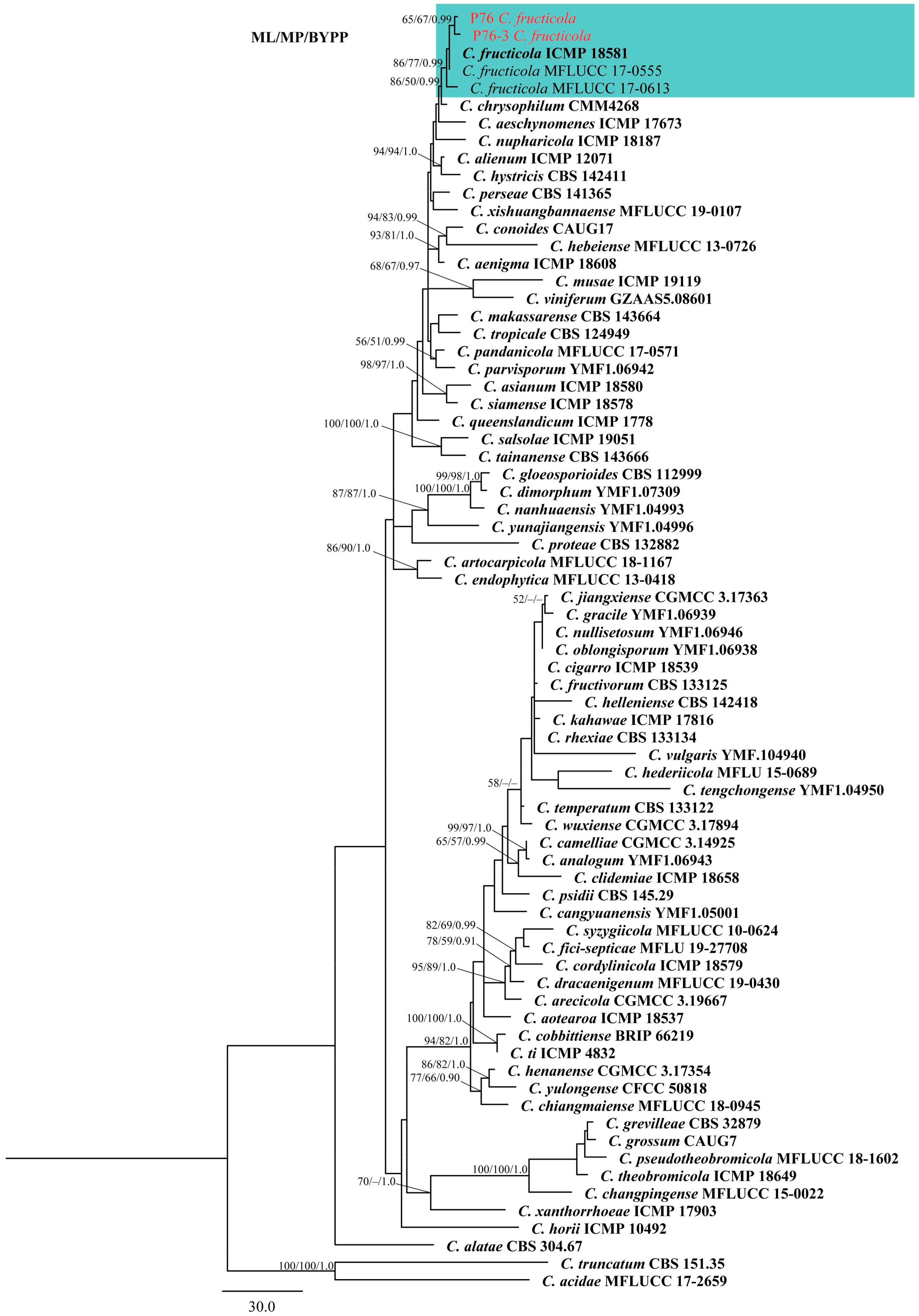 Plants 12 00971 g001