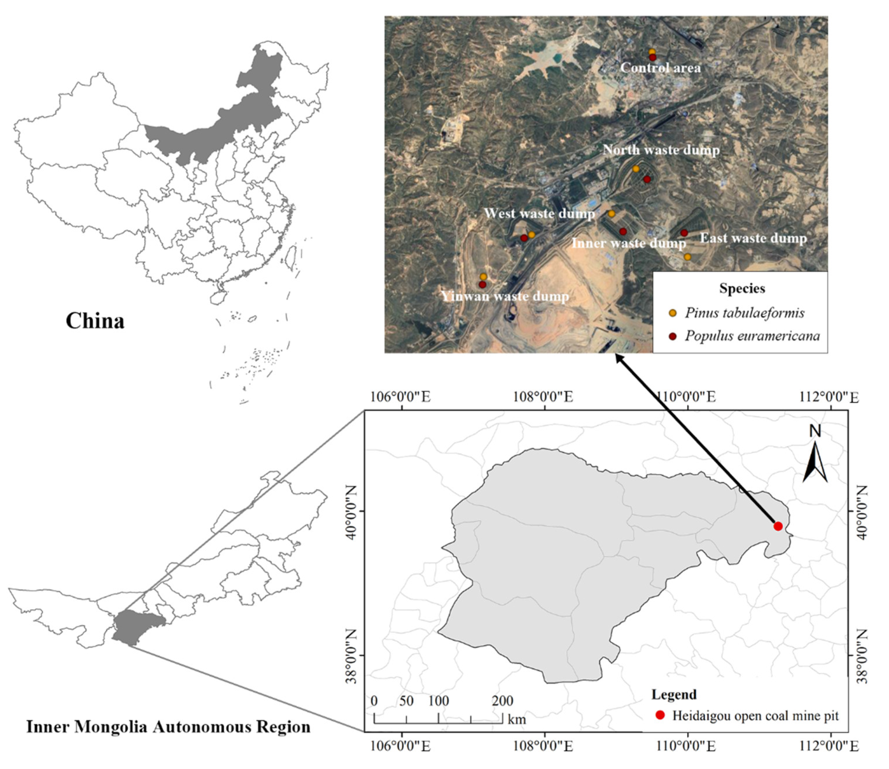 Plants 12 00974 g001