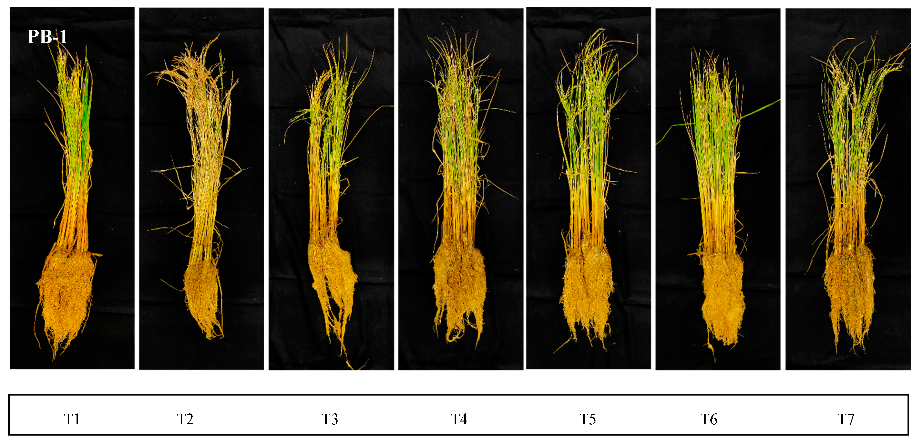 Plants 12 00976 g002b