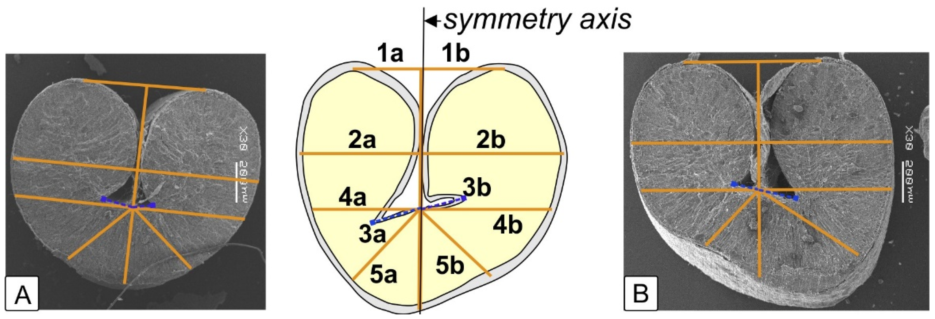 Plants 12 00980 g004 Plants 12 00980 g004