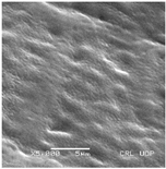 Plants 12 00987 i004