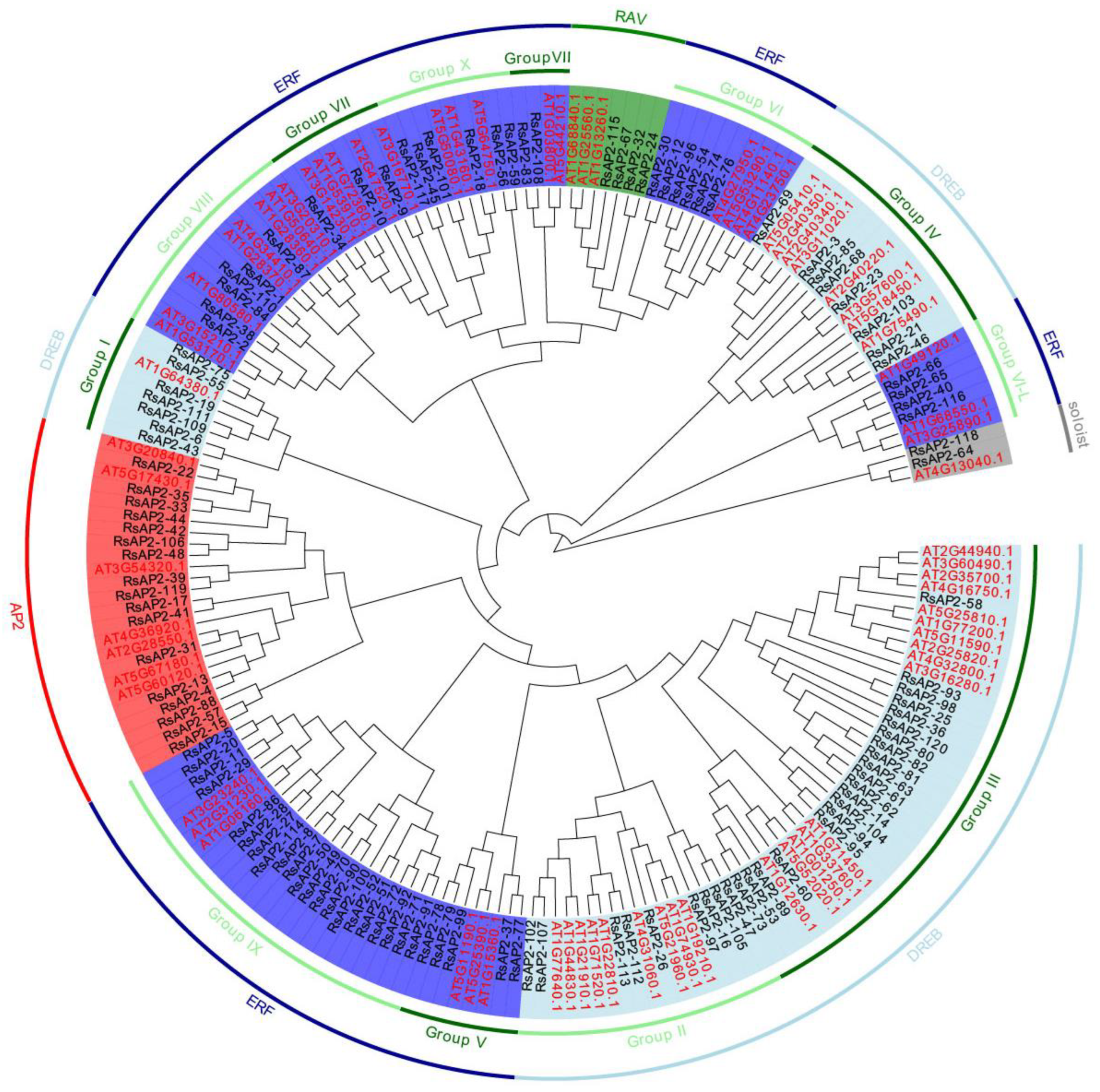 Plants 12 00994 g001