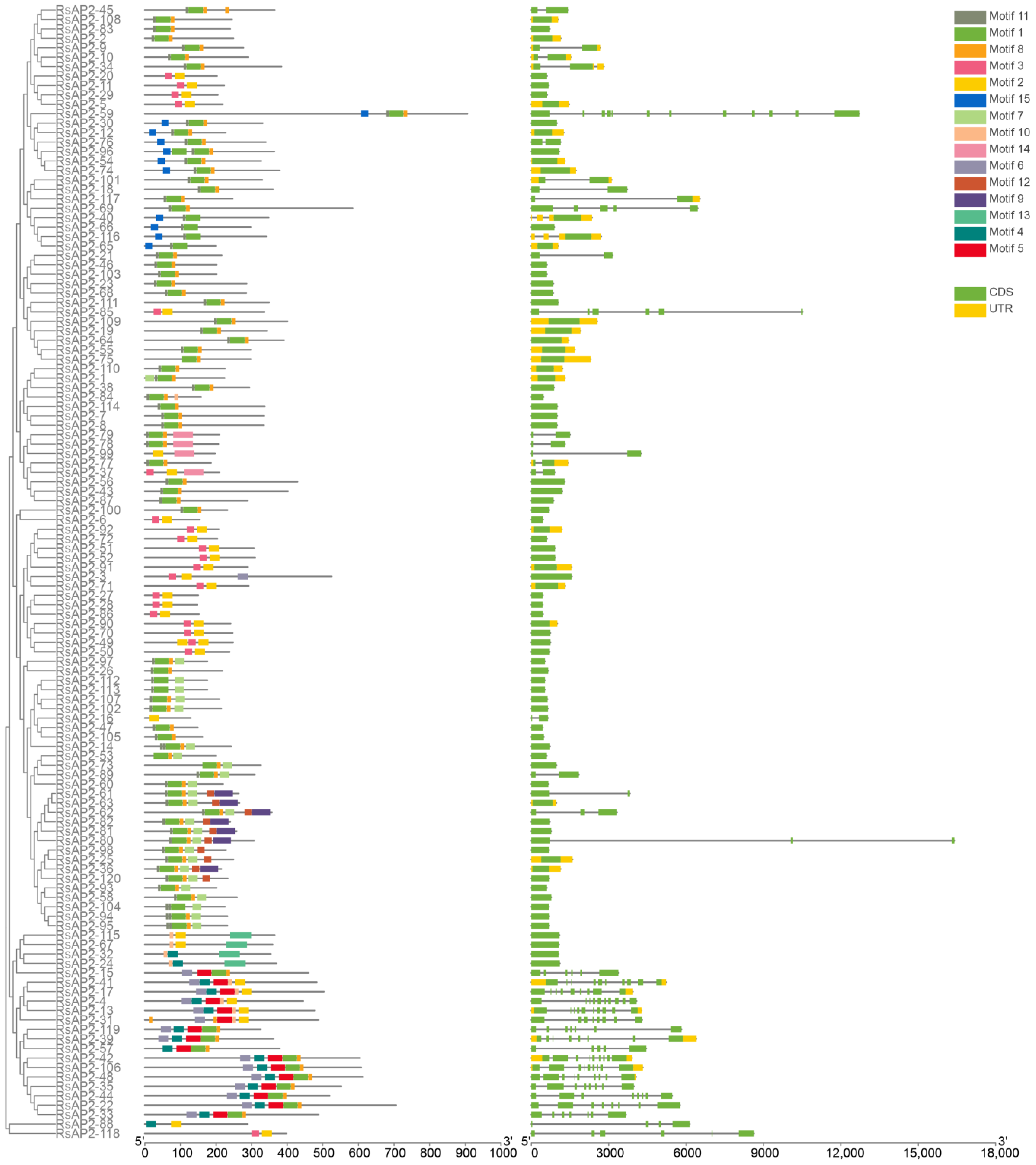 Plants 12 00994 g003