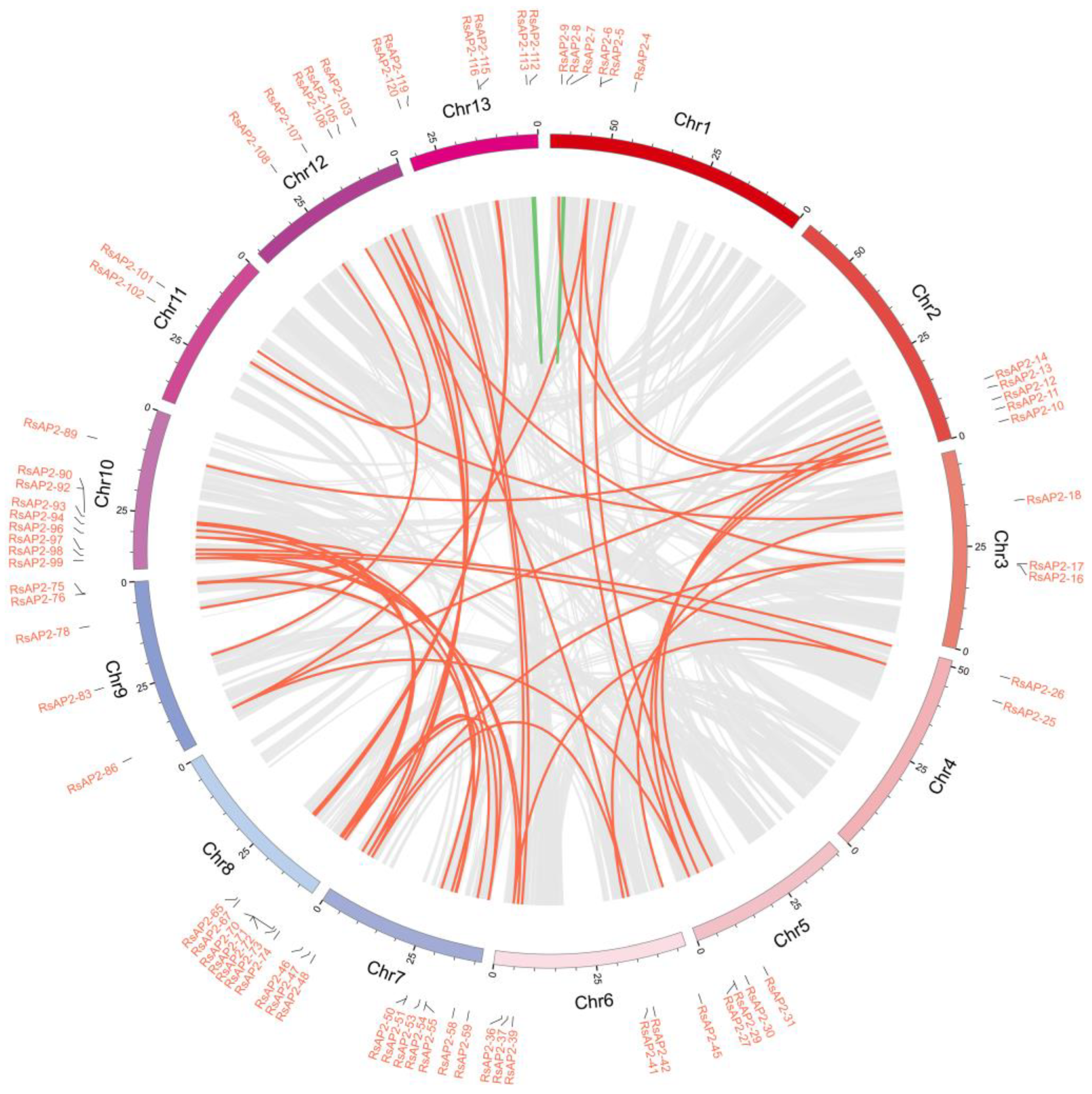 Plants 12 00994 g005