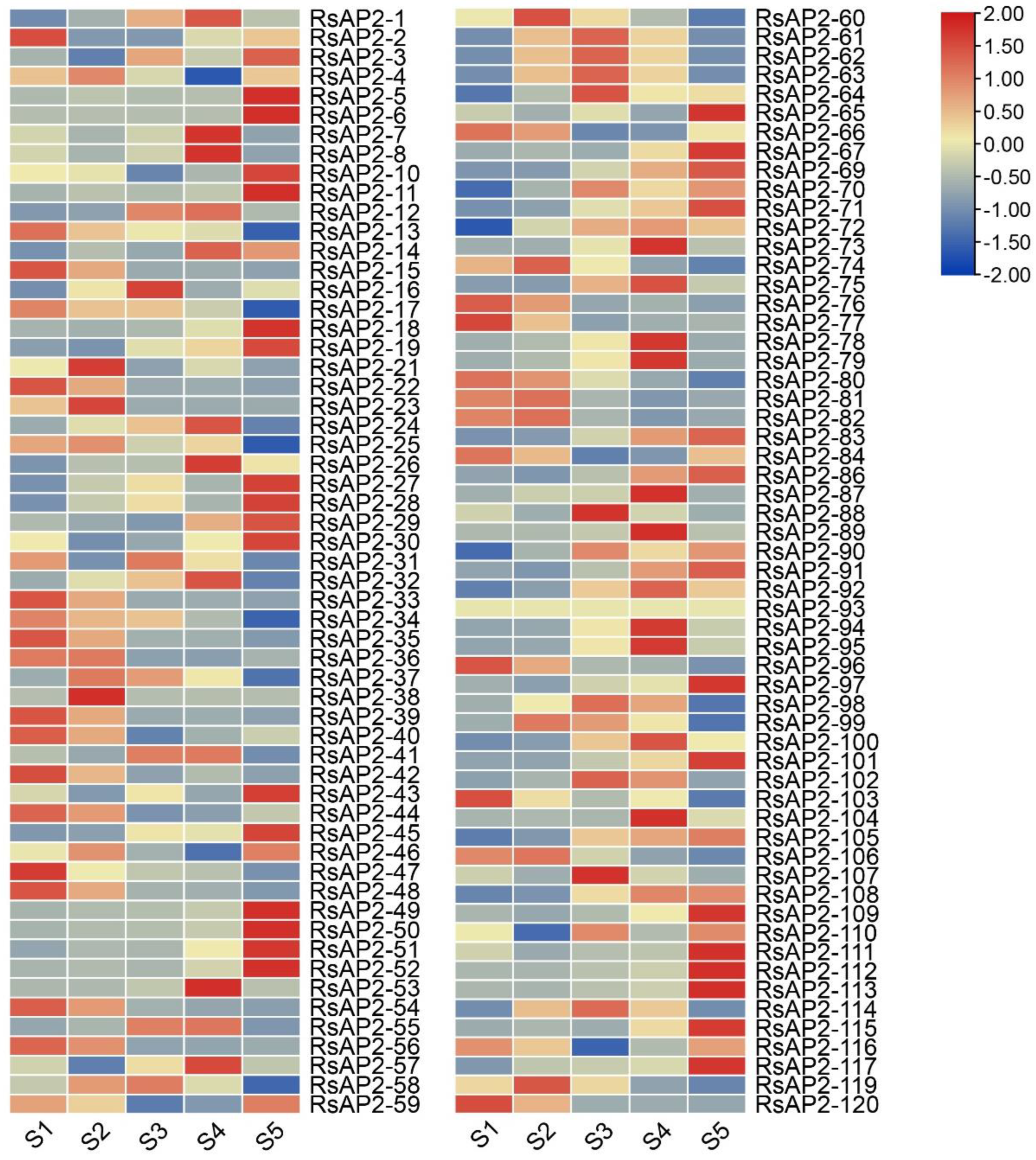 Plants 12 00994 g007
