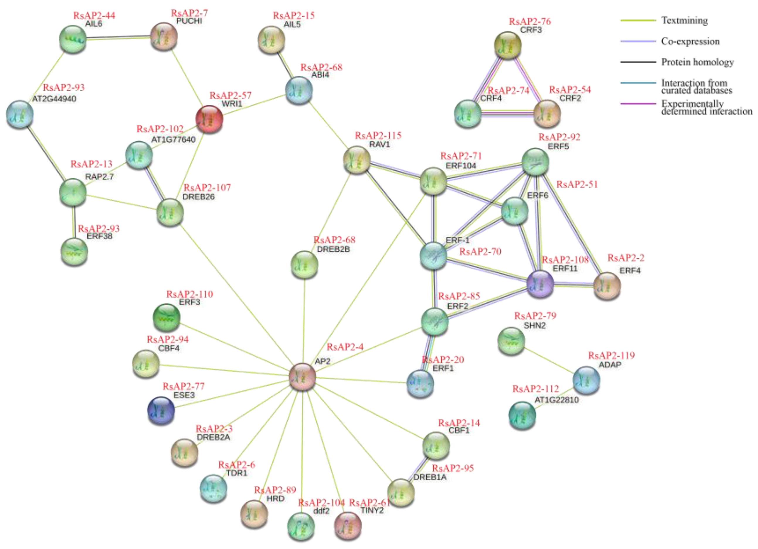 Plants 12 00994 g008