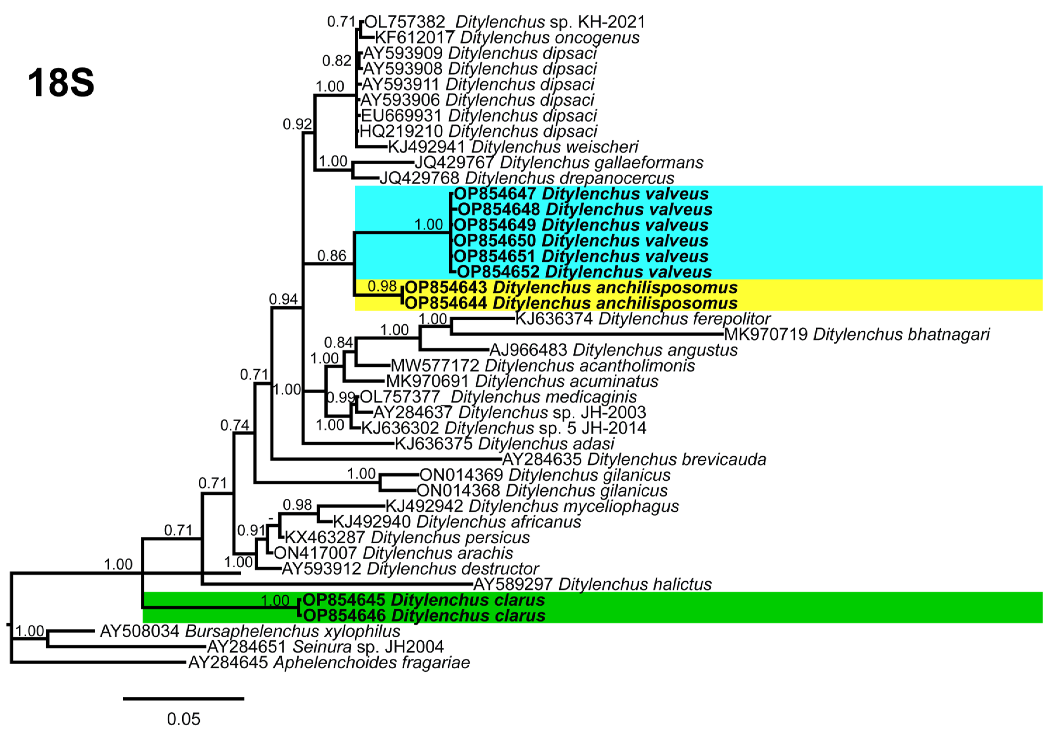Plants 12 00998 g008 Plants 12 00998 g008